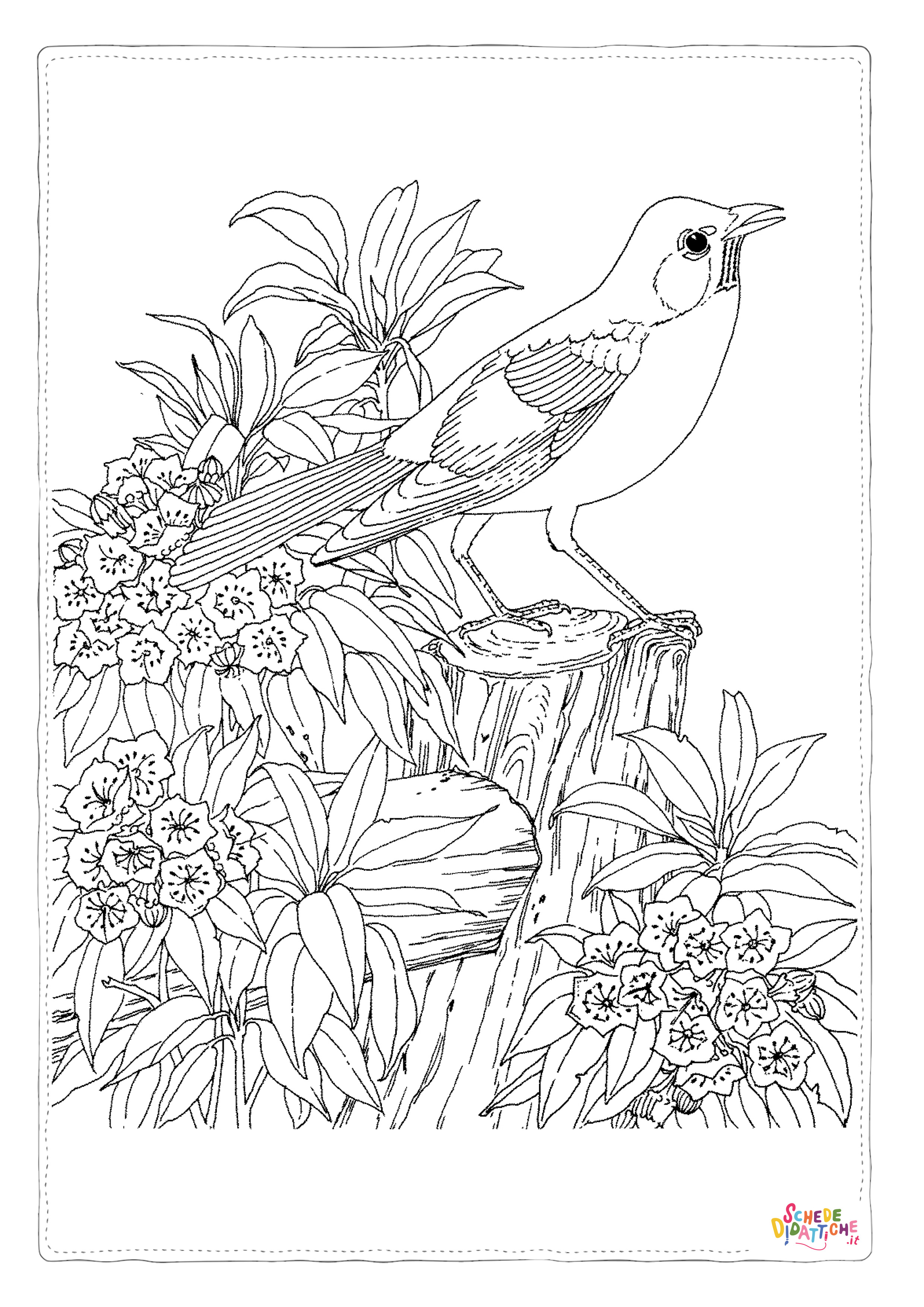 Disegno "Disegno di passero da stampare e colorare 71" Disegno di passero da stampare e colorare 71