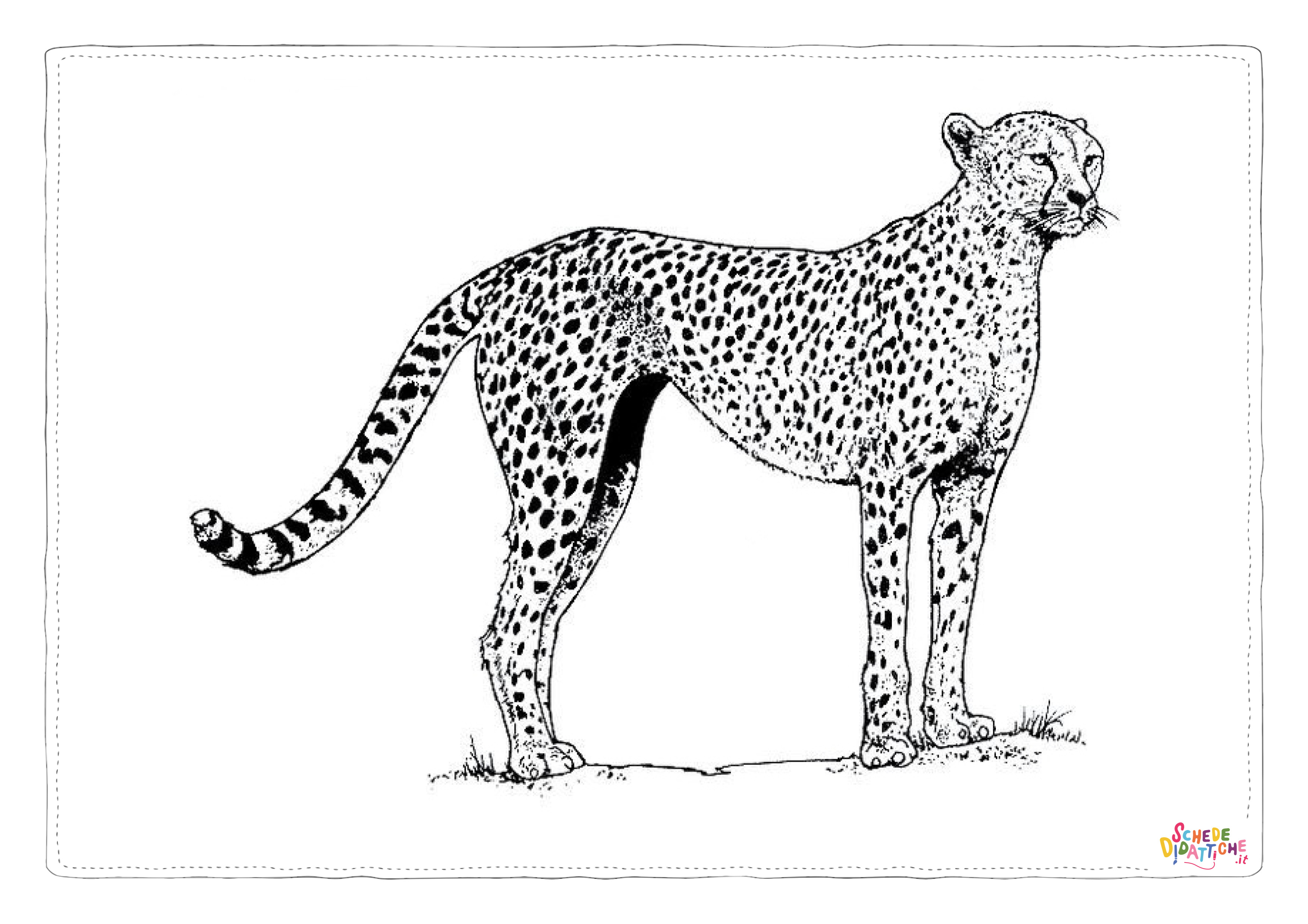 Disegno "Disegno di leopardo da stampare e colorare 51" Disegno di leopardo da stampare e colorare 51
