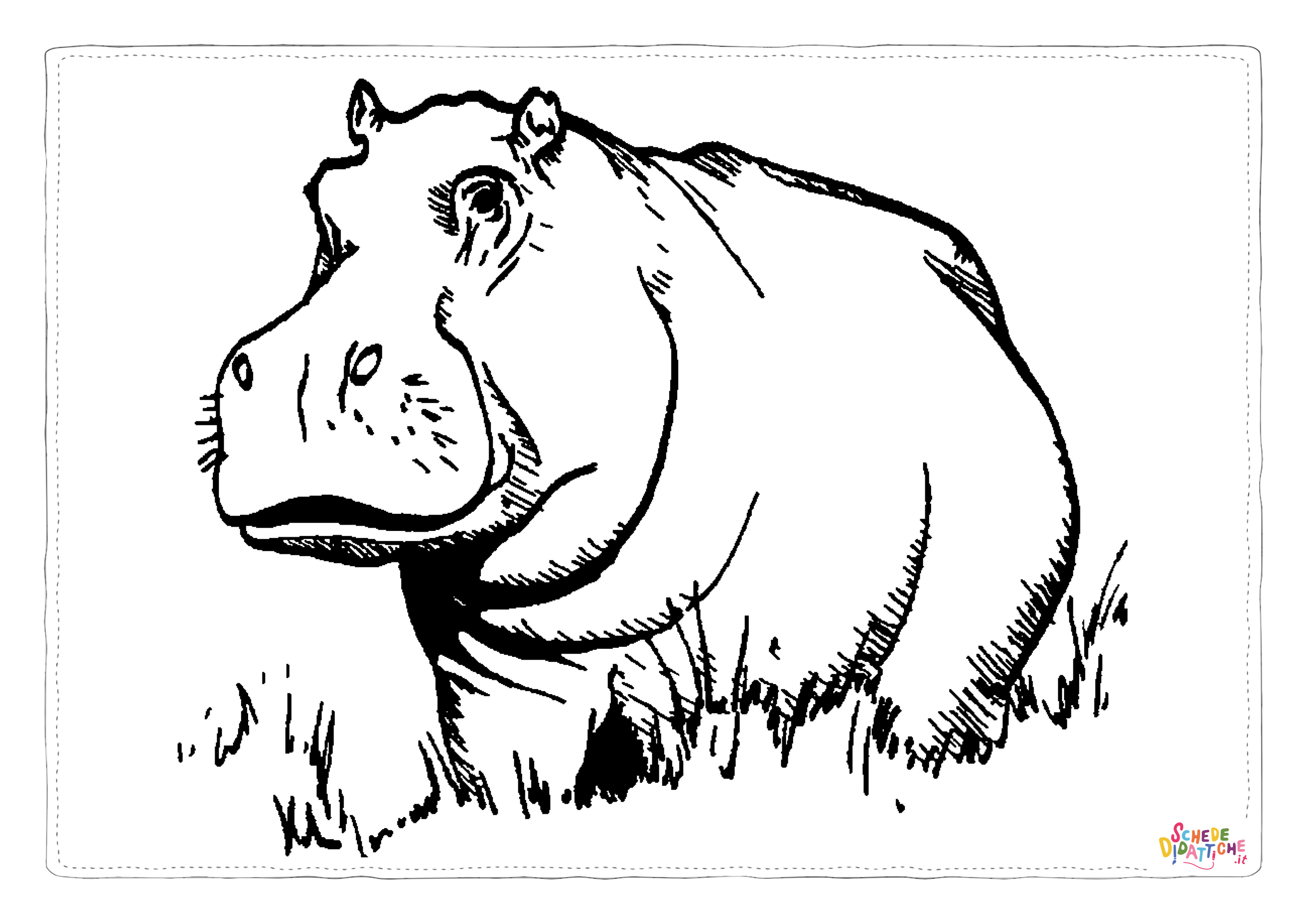Disegno di ippopotamo da stampare e colorare 25