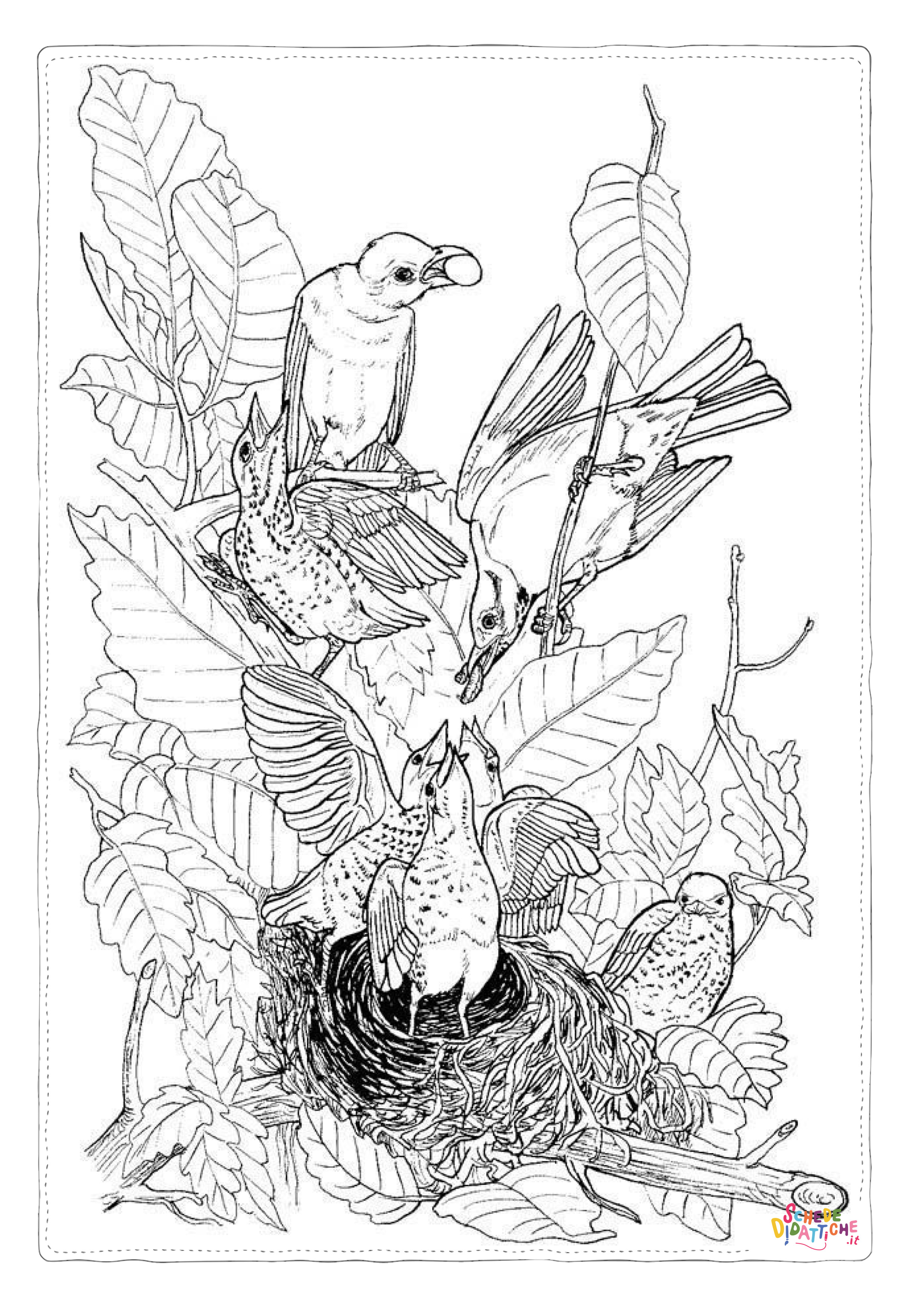 Disegno "Disegno di passero da stampare e colorare 43" Disegno di passero da stampare e colorare 43