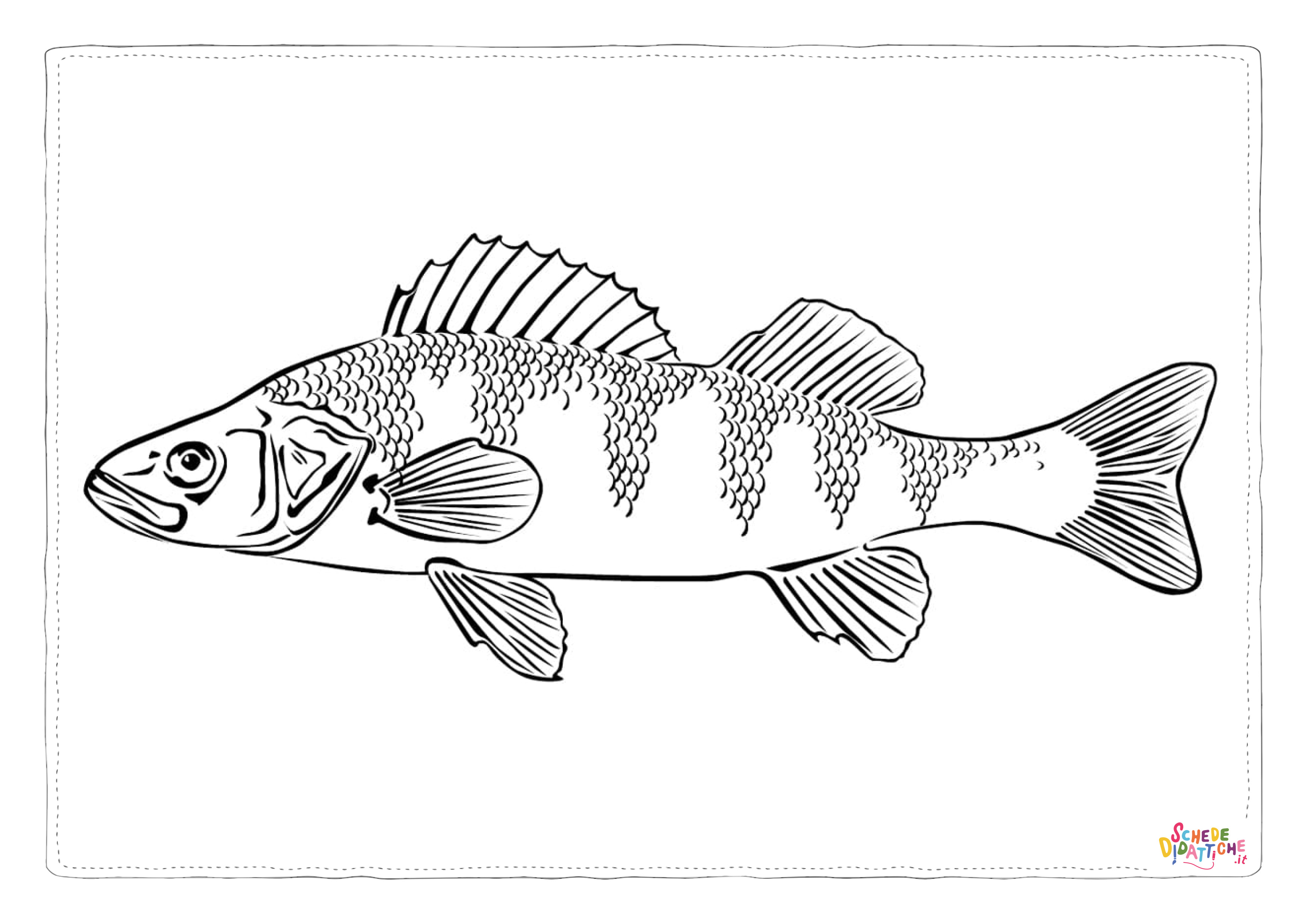 Disegno "Disegno di pesce da stampare e colorare 150" Disegno di pesce da stampare e colorare 150