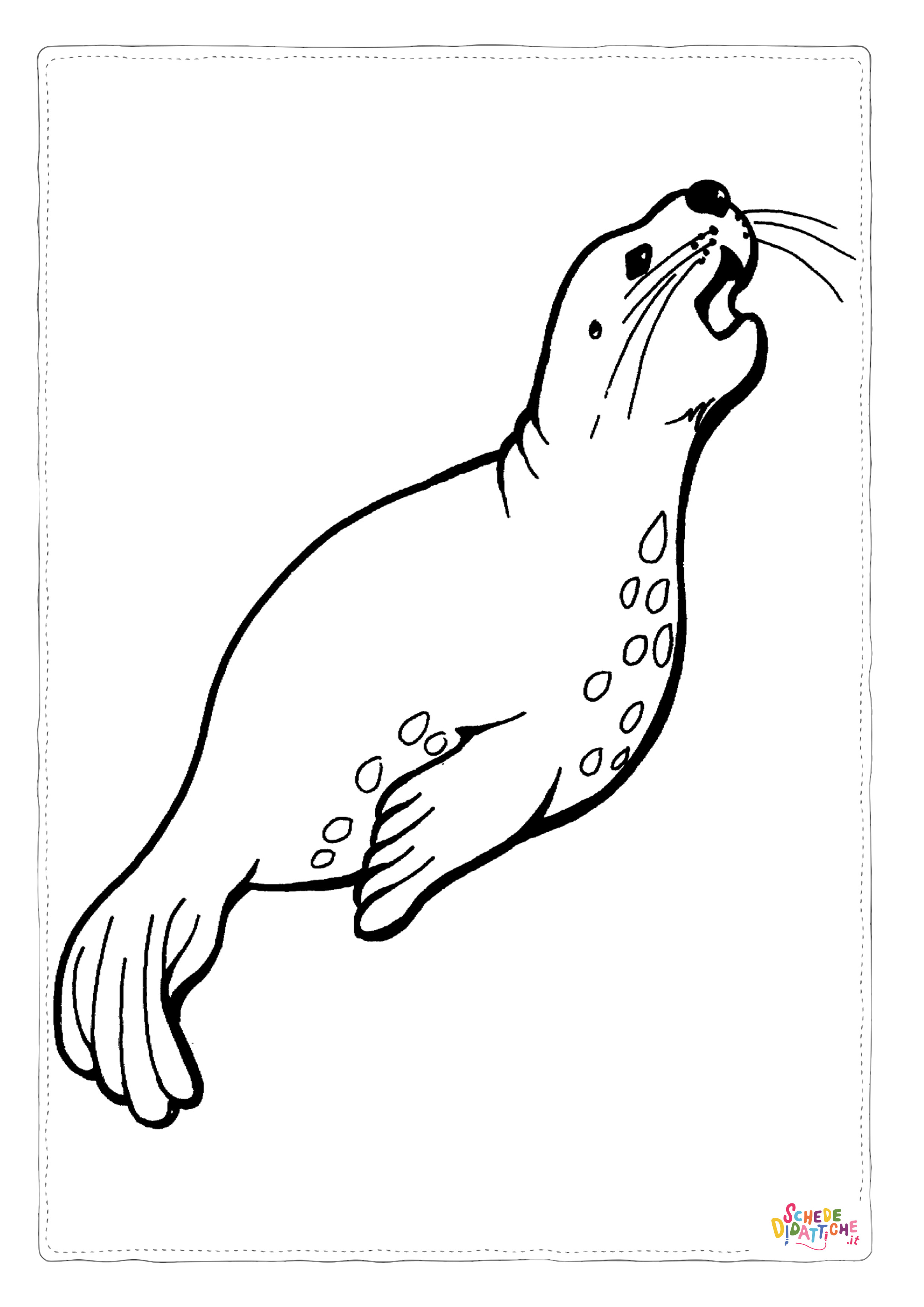 Disegno "Disegno di foca da stampare e colorare 22" Disegno di foca da stampare e colorare 22