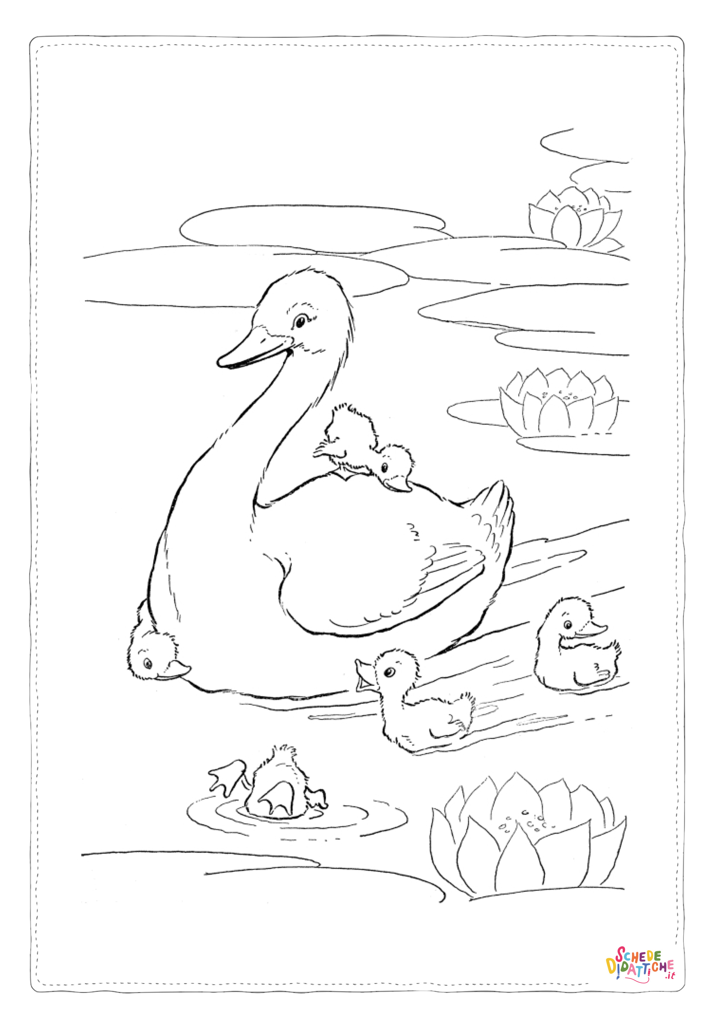 Disegno "Disegno di cigno da stampare e colorare 2" Disegno di cigno da stampare e colorare 2