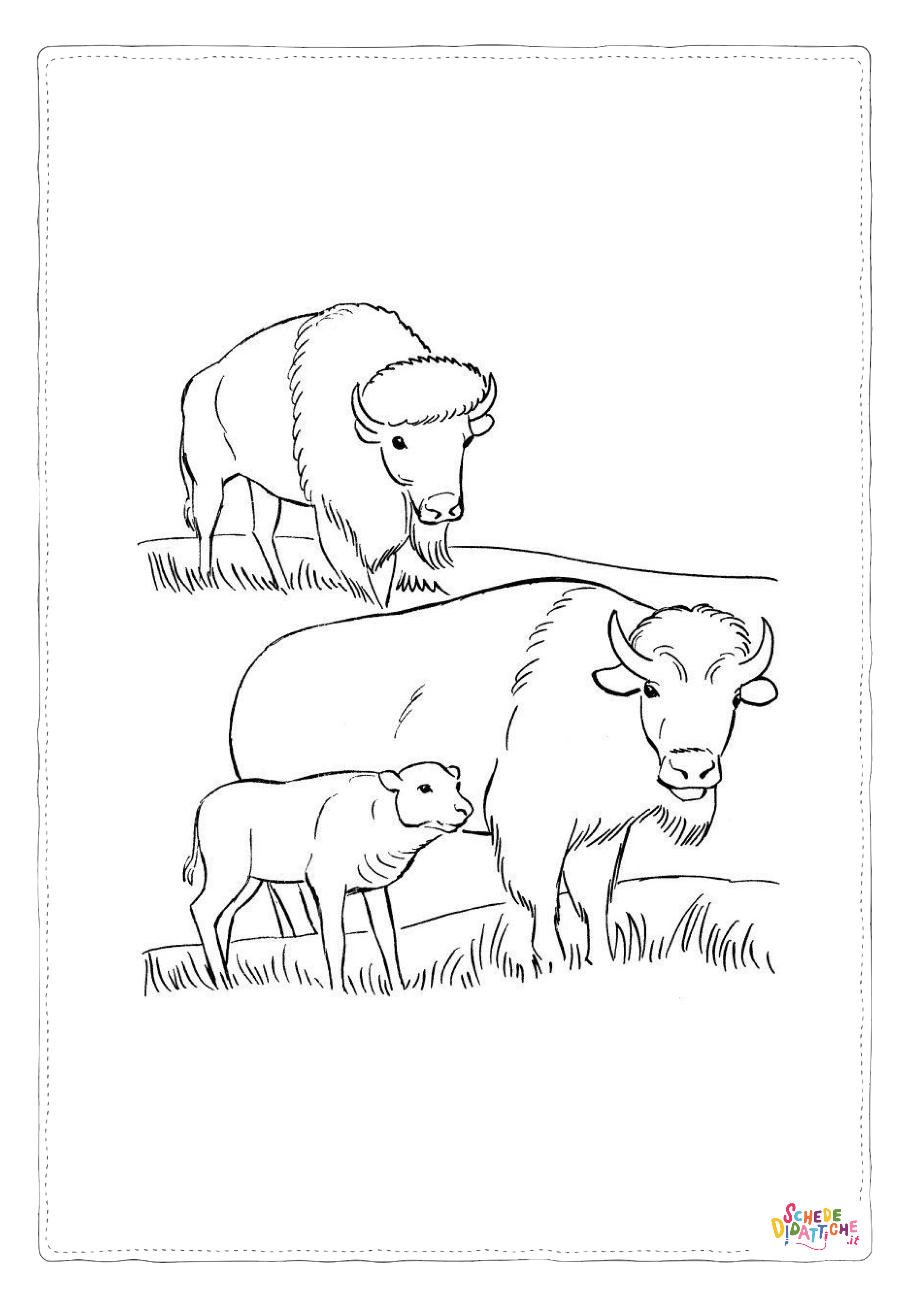 Disegno "Disegno di bisonte da stampare e colorare 17" Disegno di bisonte da stampare e colorare 17