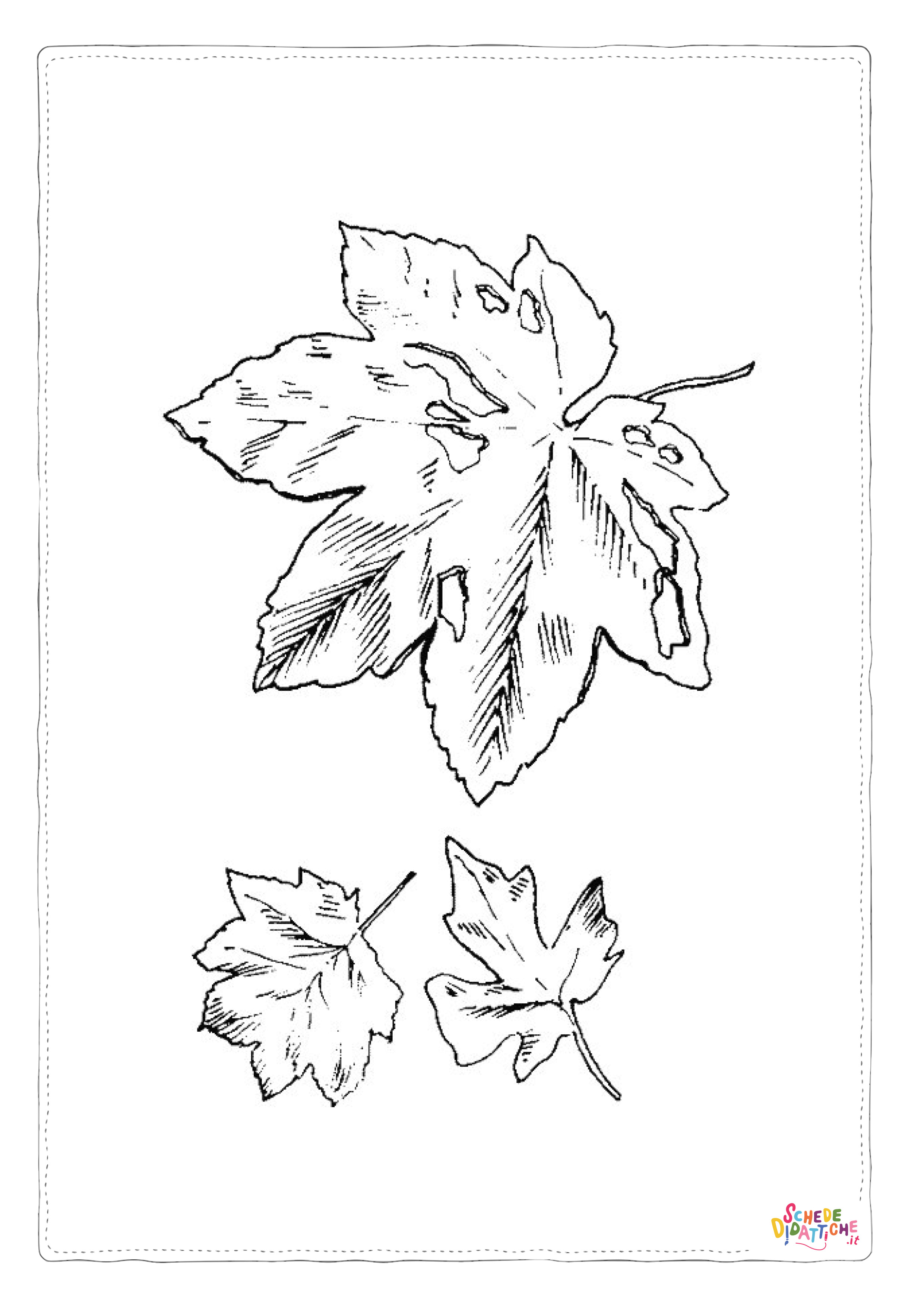Disegno "Disegno di foglia da stampare e colorare 140" Disegno di foglia da stampare e colorare 140