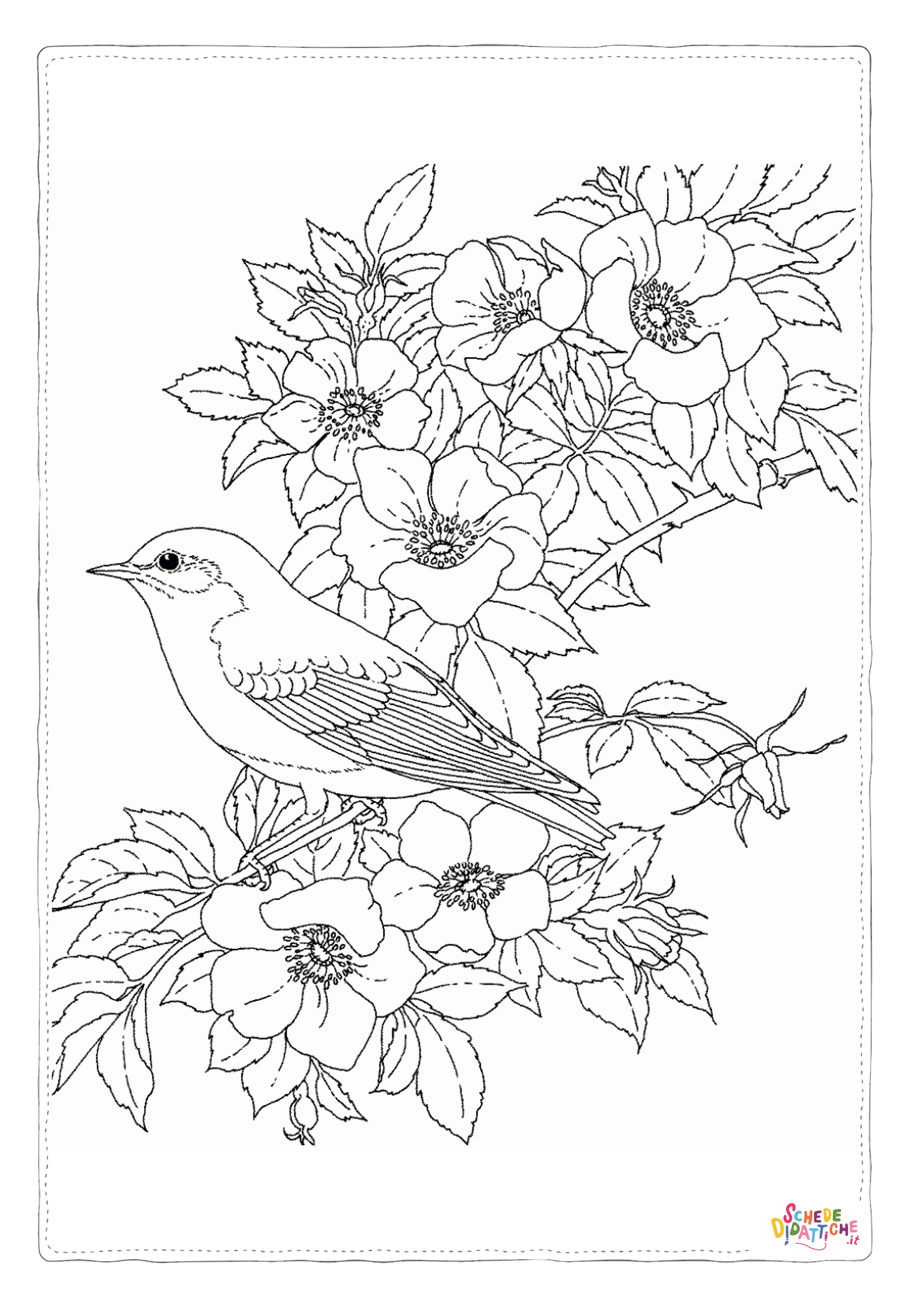 Disegno "Disegno di passero da stampare e colorare 87" Disegno di passero da stampare e colorare 87