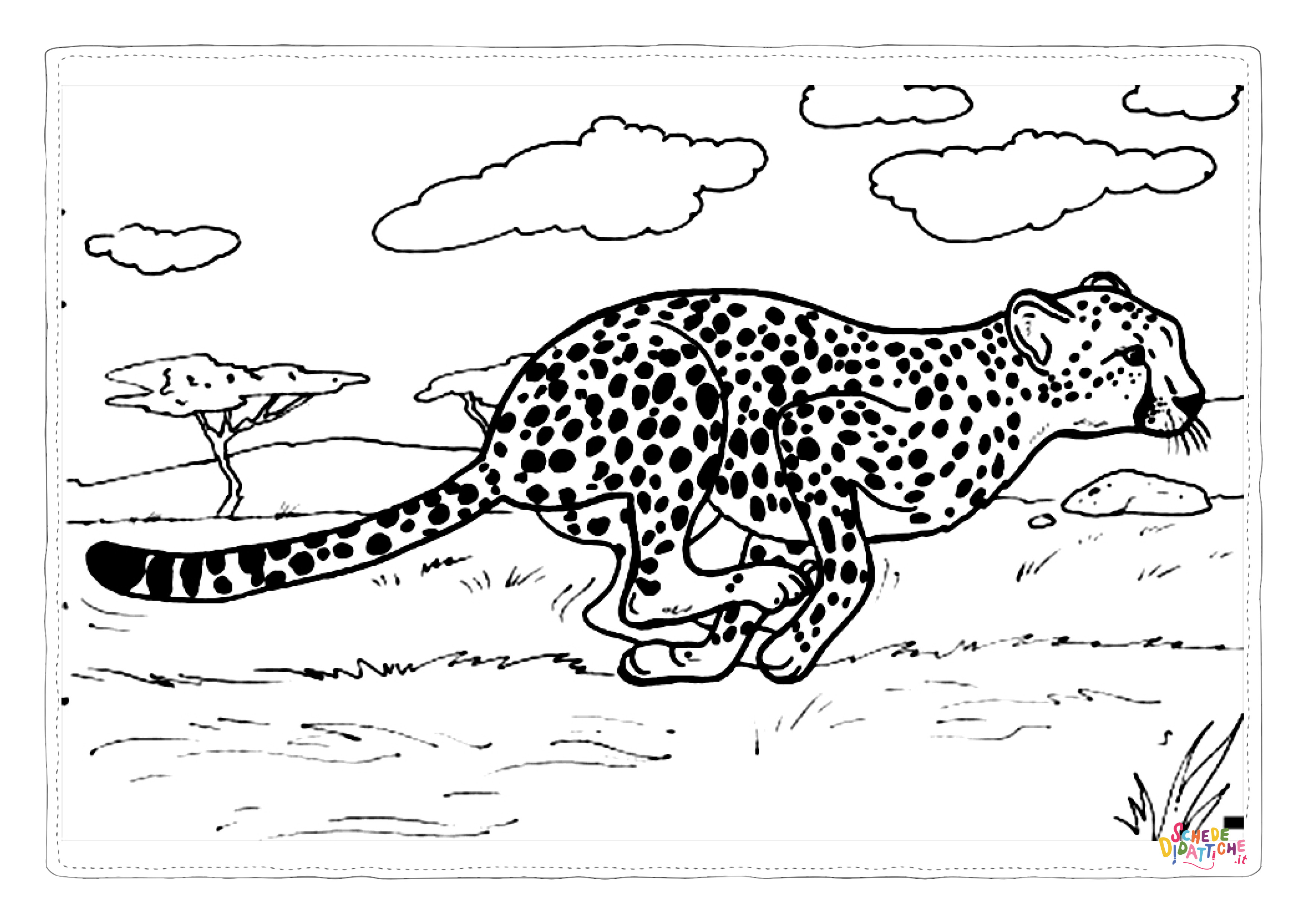 Disegno "Disegno di leopardo da stampare e colorare 48" Disegno di leopardo da stampare e colorare 48