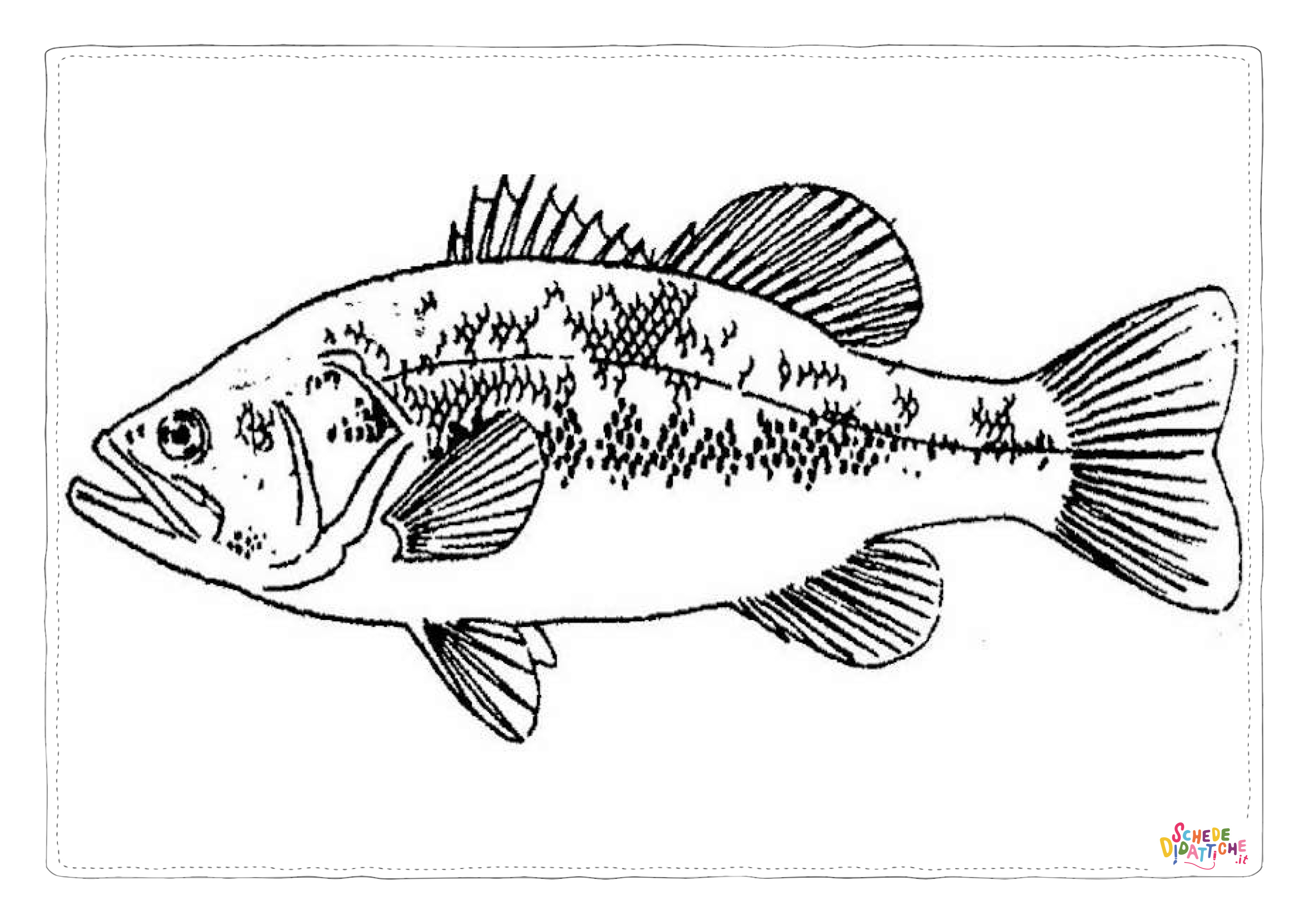 Disegno "Disegno di pesce da stampare e colorare 198" Disegno di pesce da stampare e colorare 198