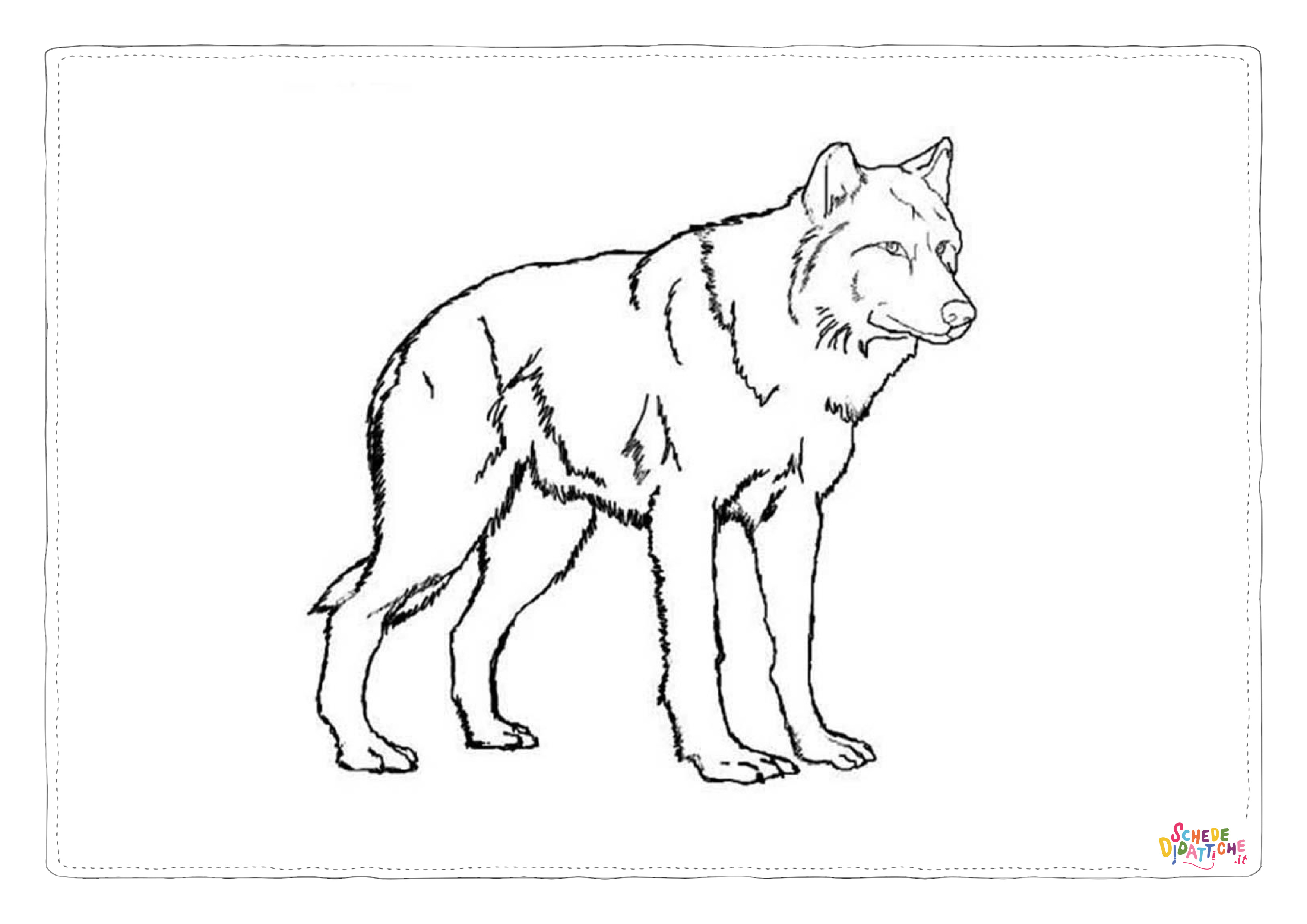 Disegno di lupo da stampare e colorare 37
