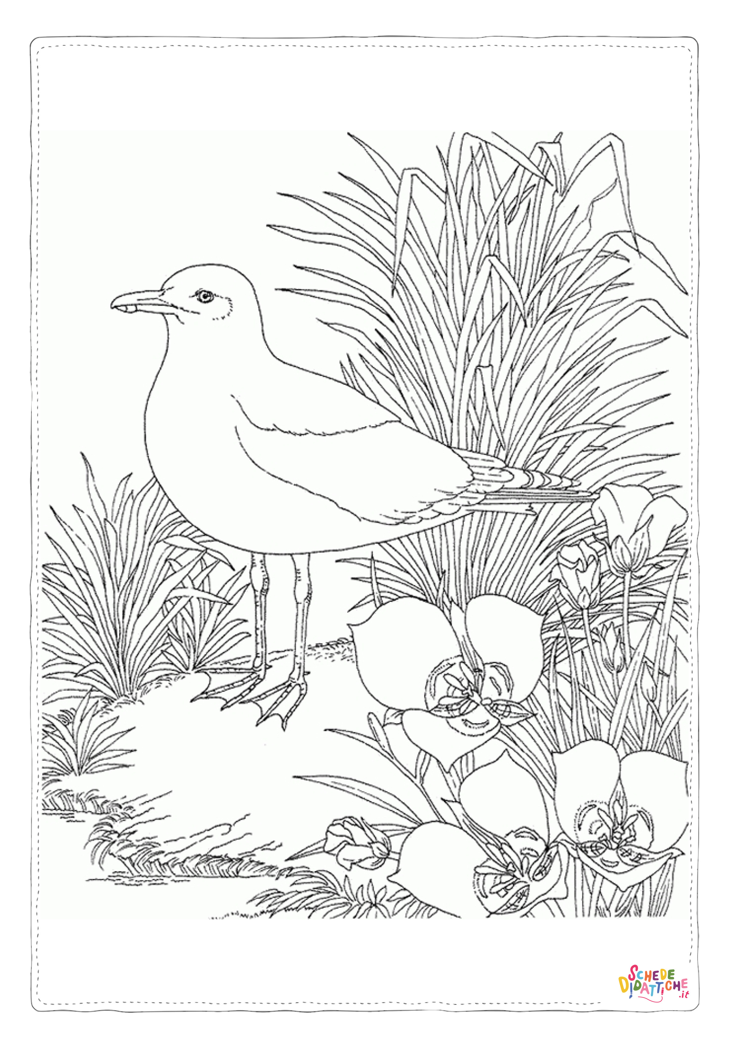 Disegno "Disegno di uccello da stampare e colorare 104" Disegno di uccello da stampare e colorare 104