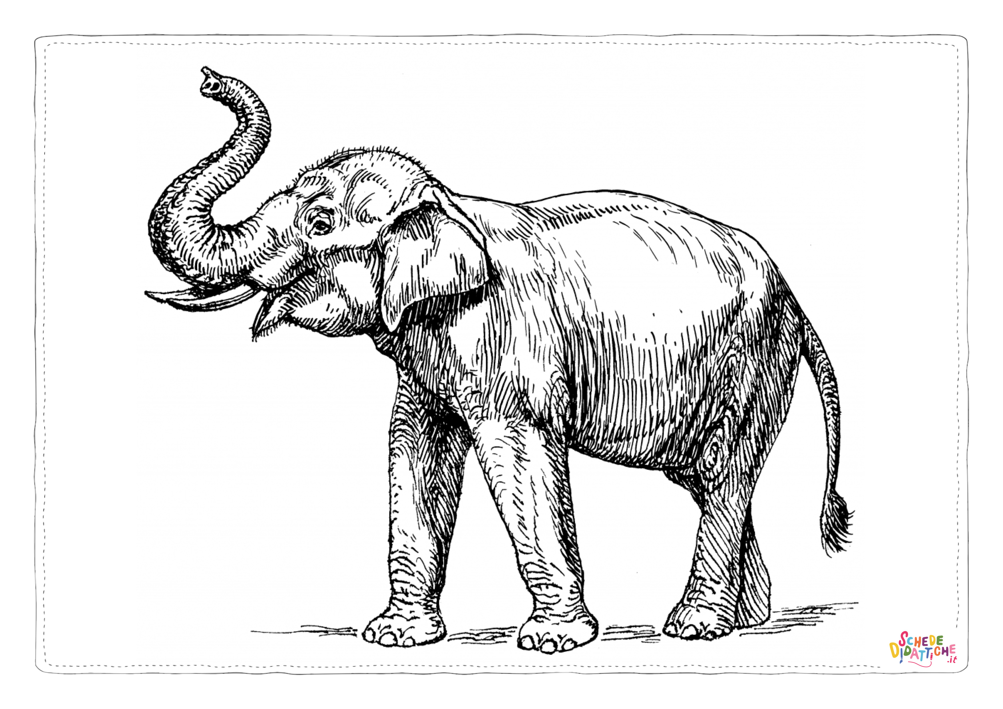 Disegno "Disegno di elefante da stampare e colorare 129" Disegno di elefante da stampare e colorare 129
