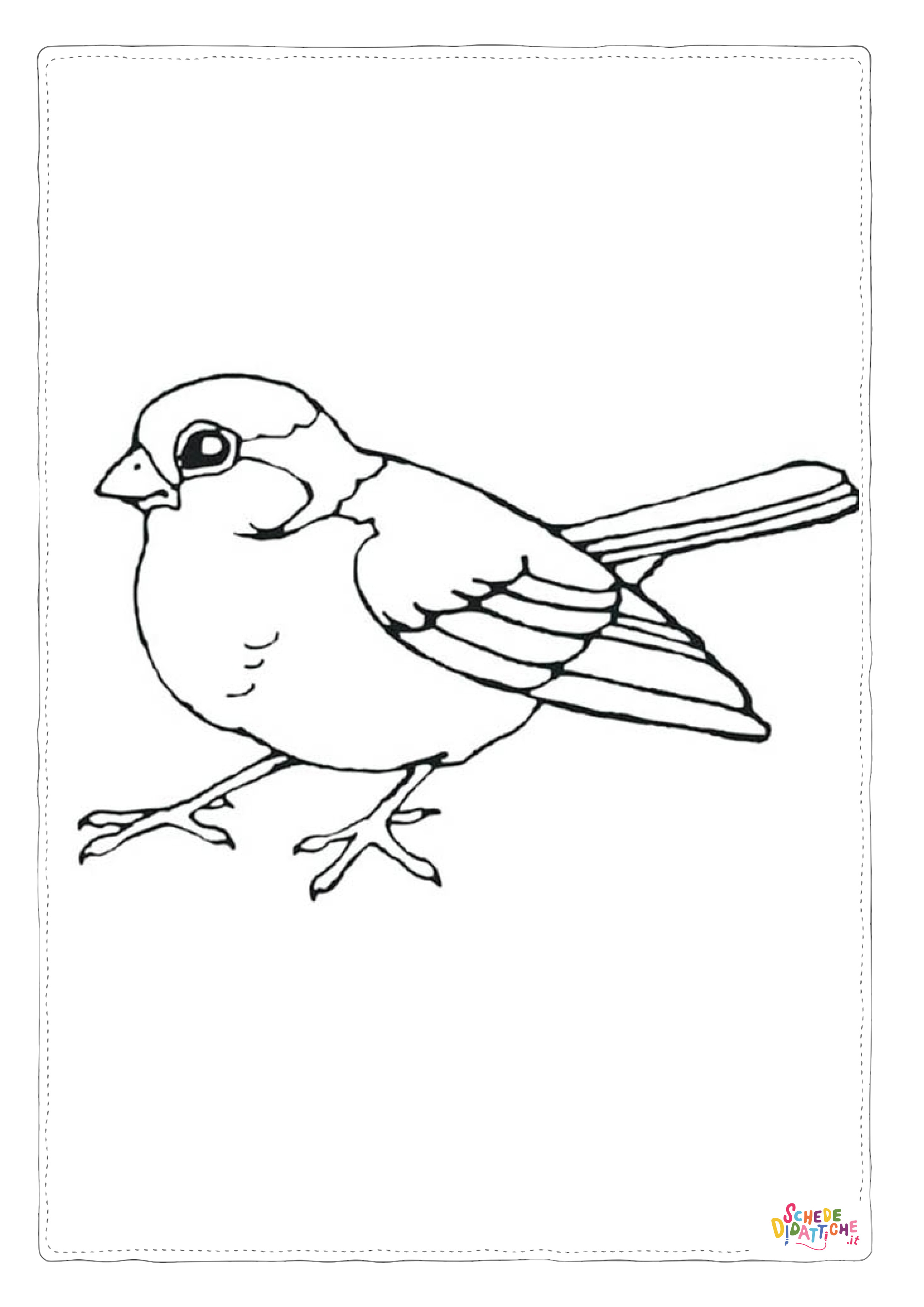 Disegno di passero da stampare e colorare 17
