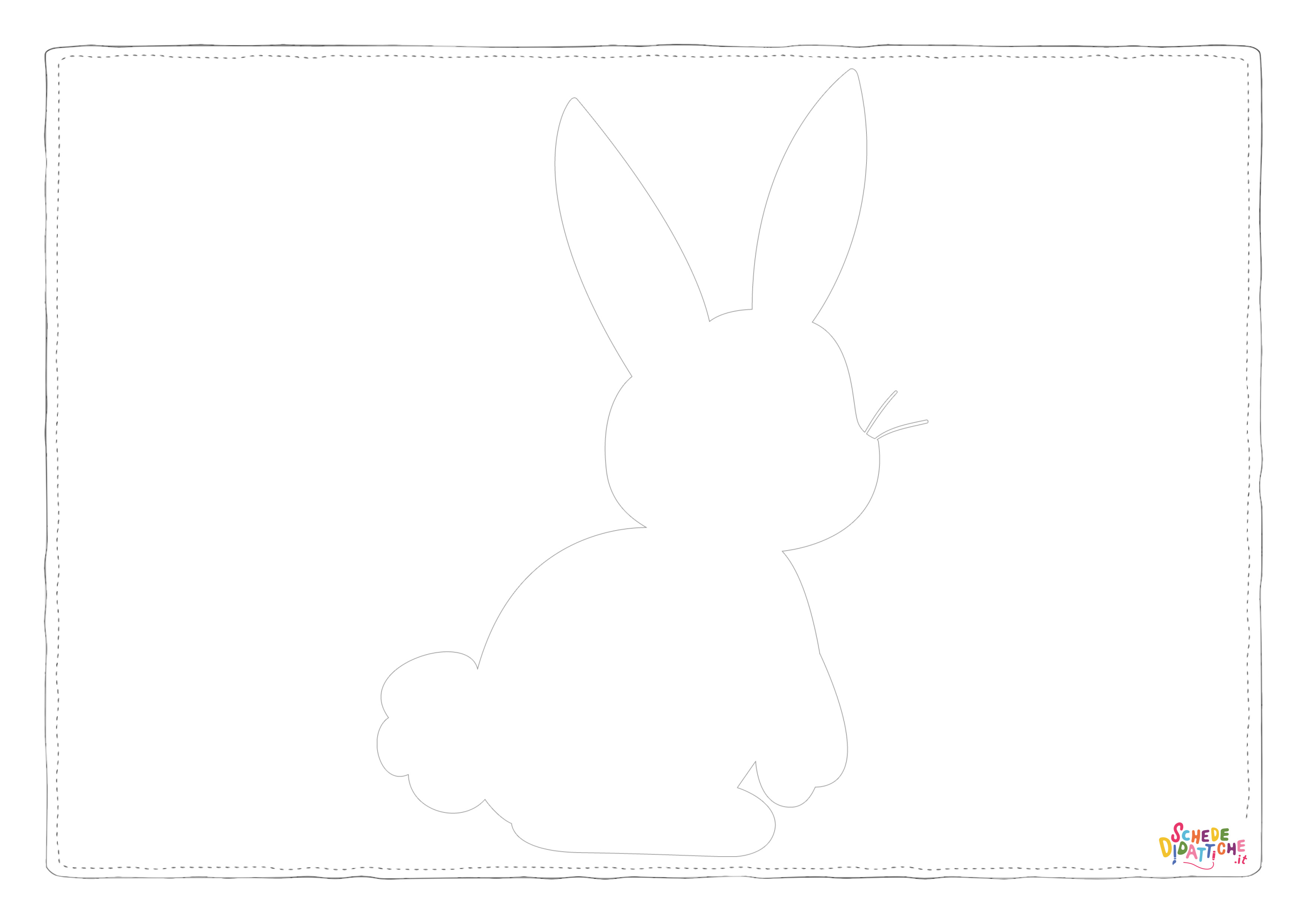 BUNNY19