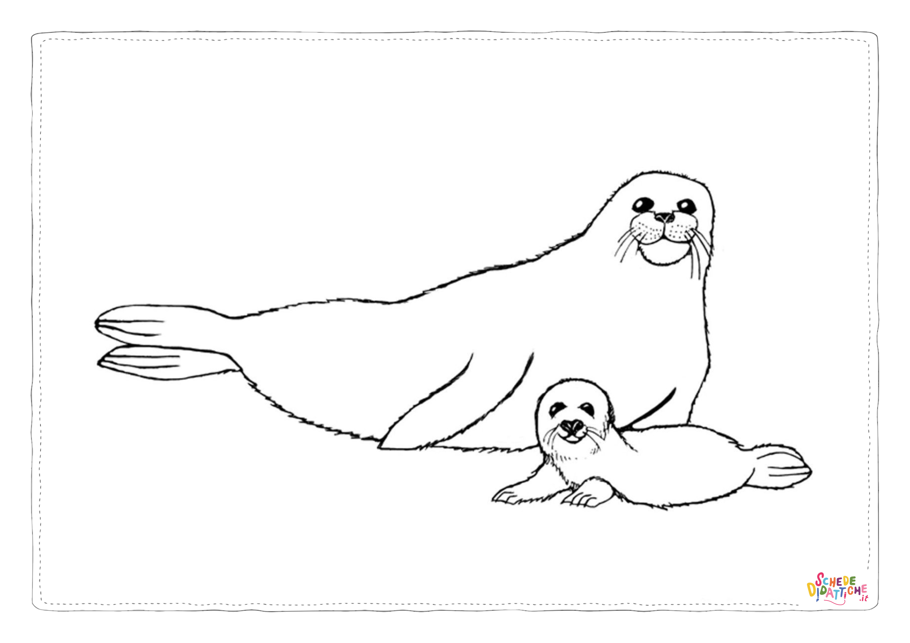 Disegno di foca da stampare e colorare 8