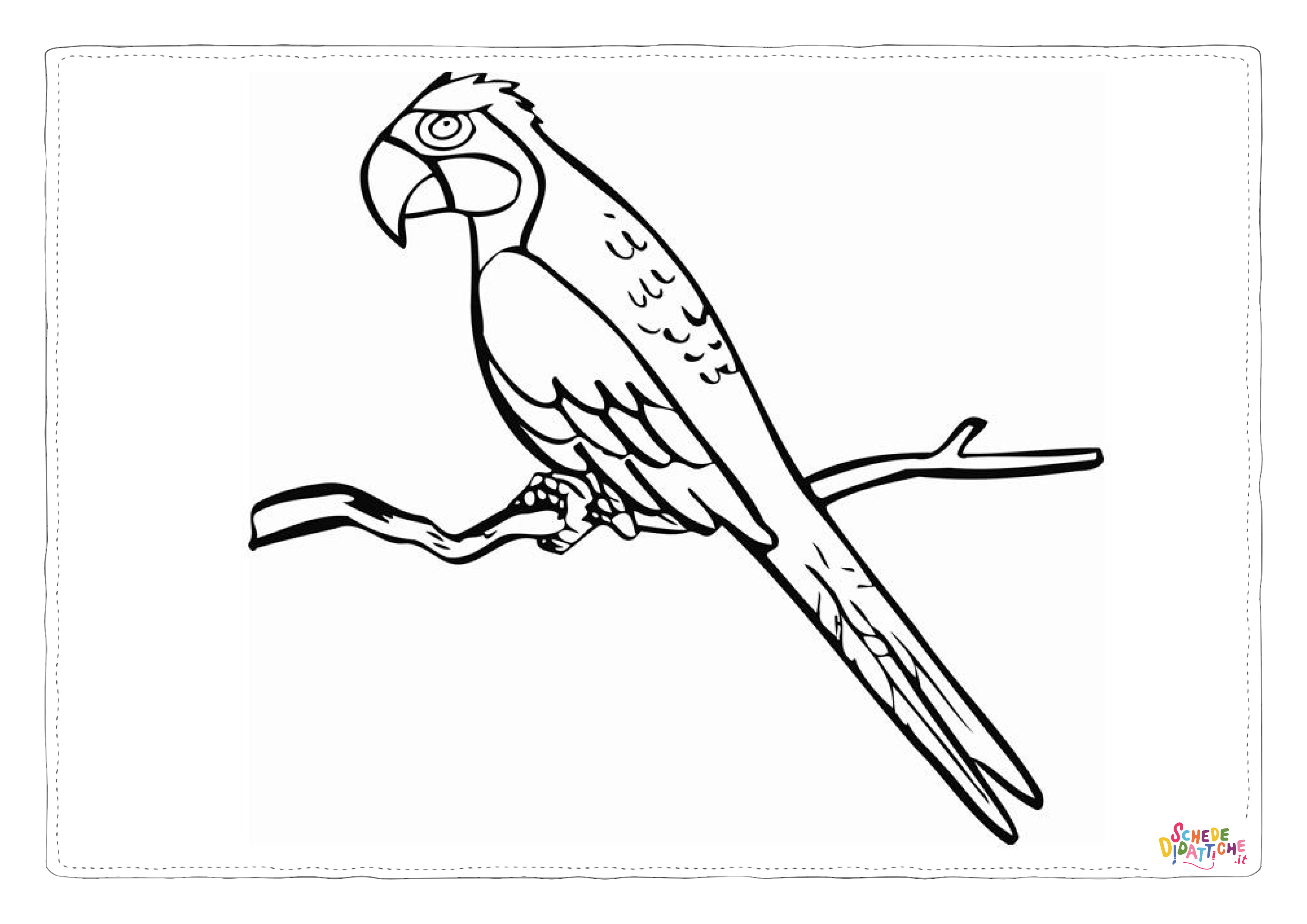 Disegno "Disegno di pappagallo da stampare e colorare 29" Disegno di pappagallo da stampare e colorare 29