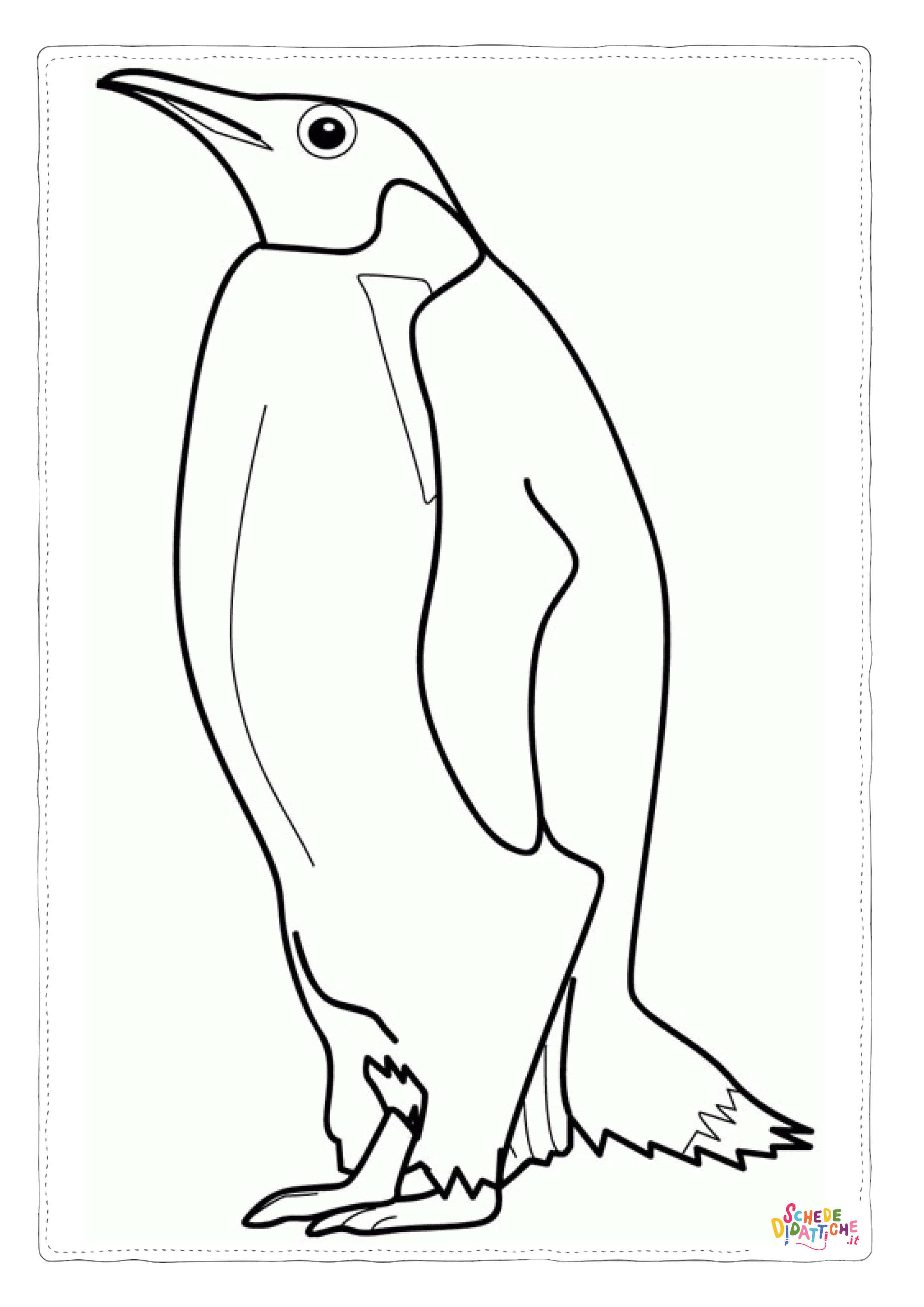 Disegno di pinguino da stampare e colorare 1