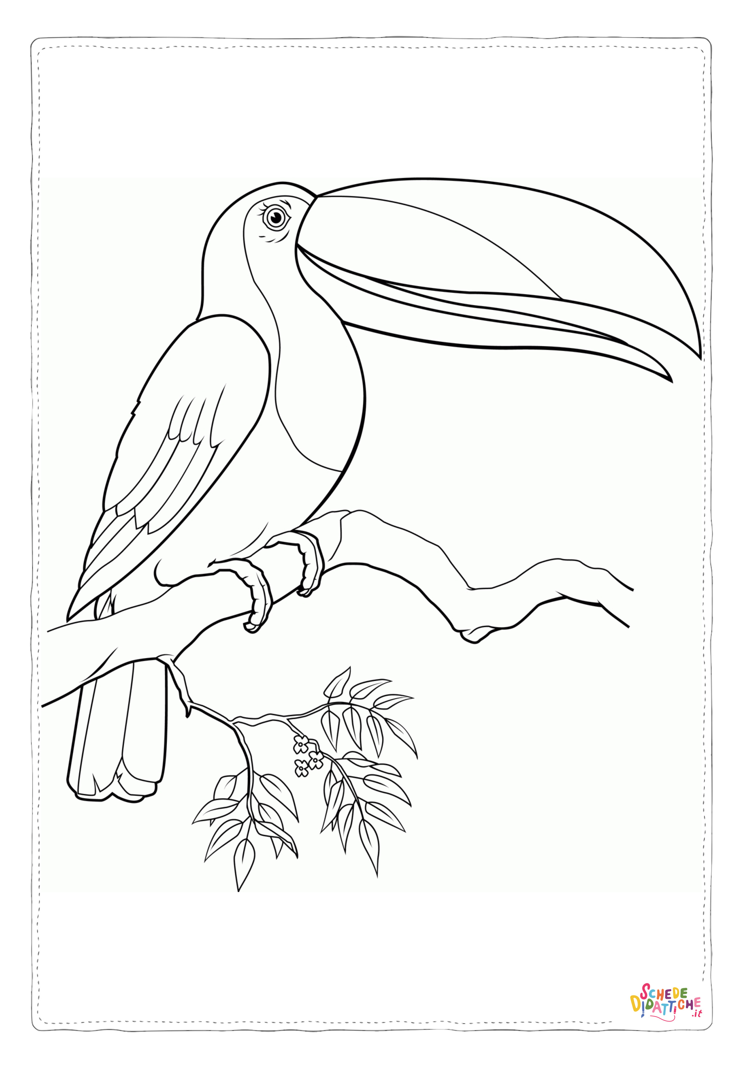 Disegno "Disegno di tucano da stampare e colorare 37" Disegno di tucano da stampare e colorare 37