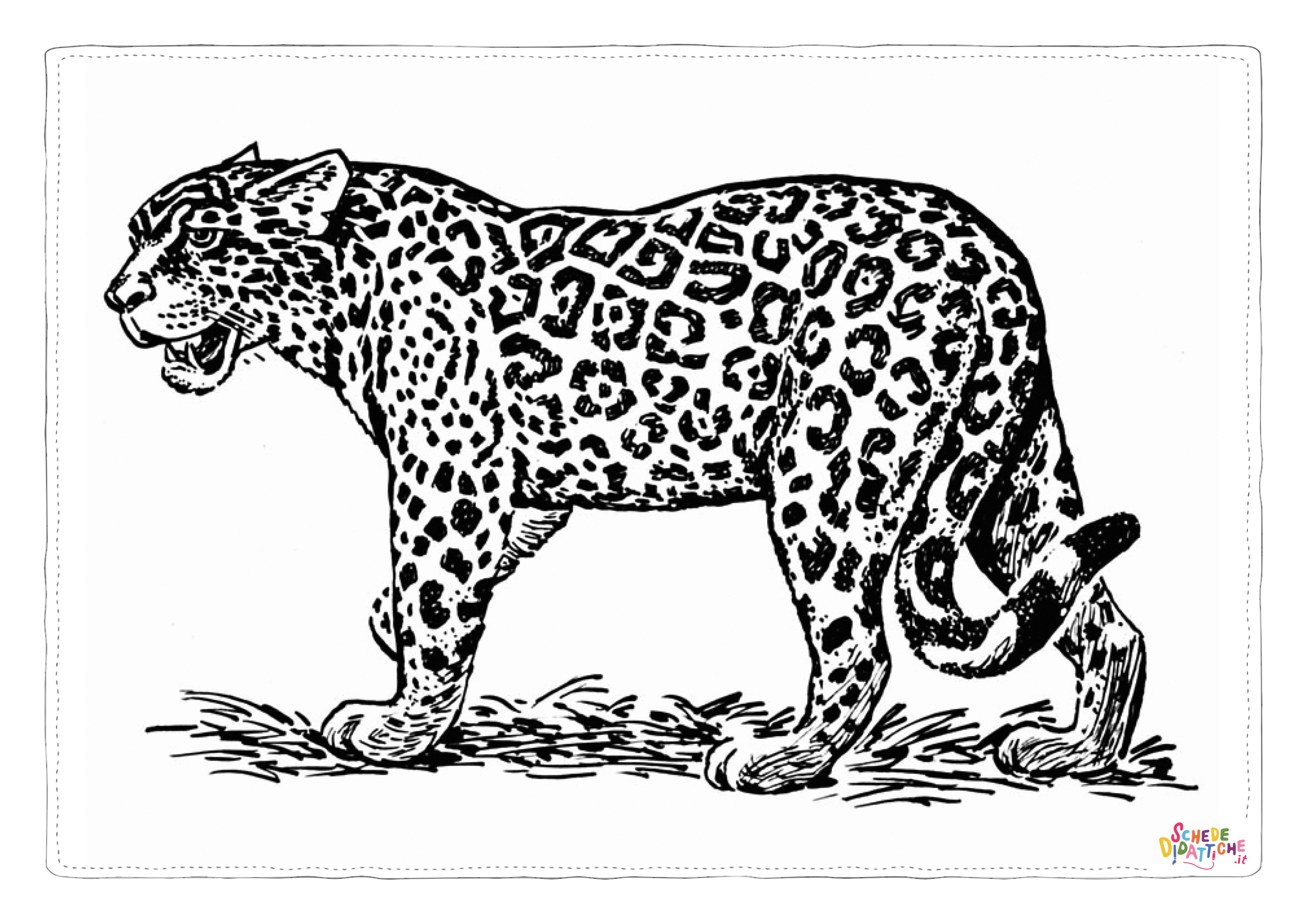 Disegno di leopardo da stampare e colorare 25