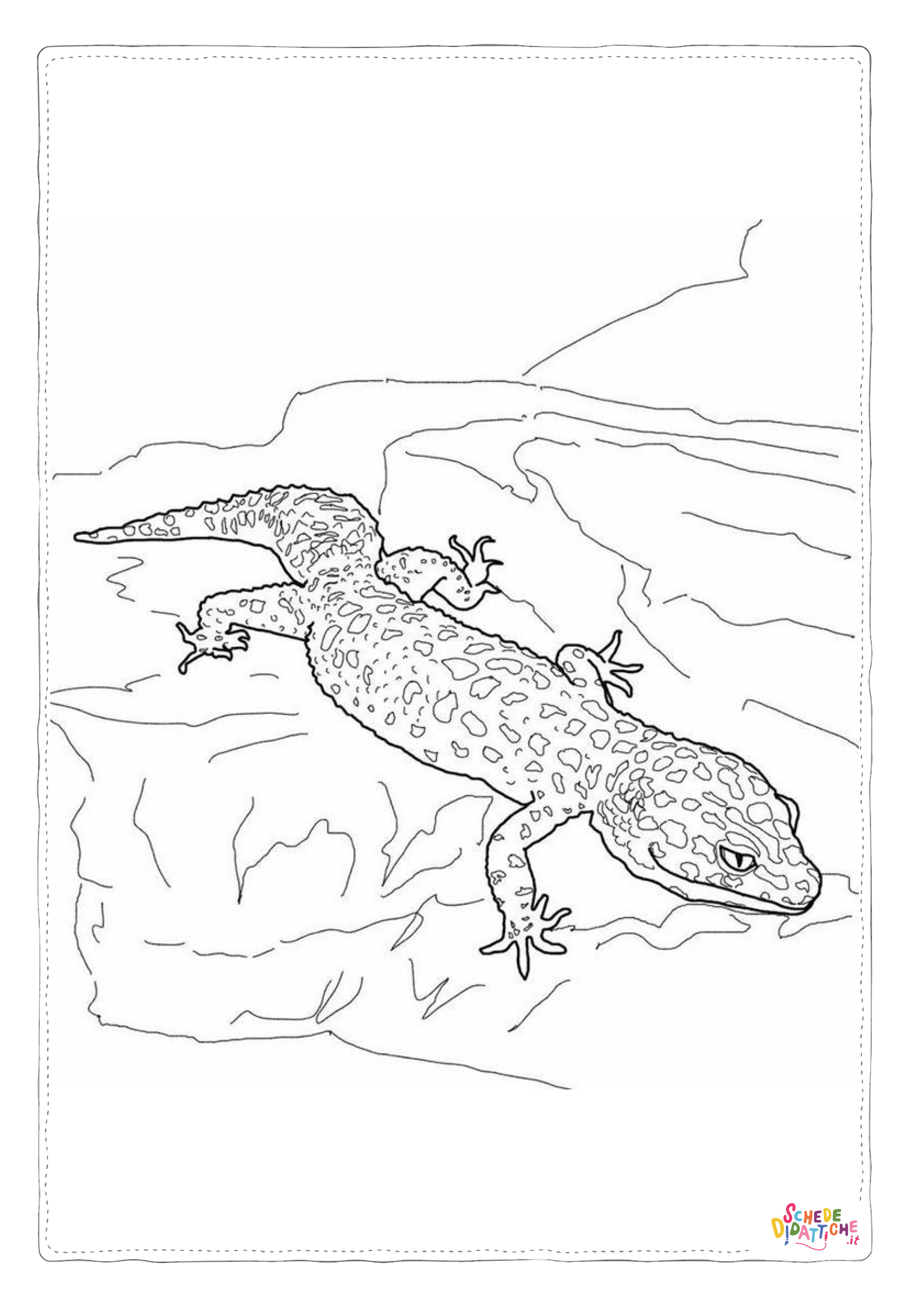 Disegno di lucertola da stampare e colorare 30