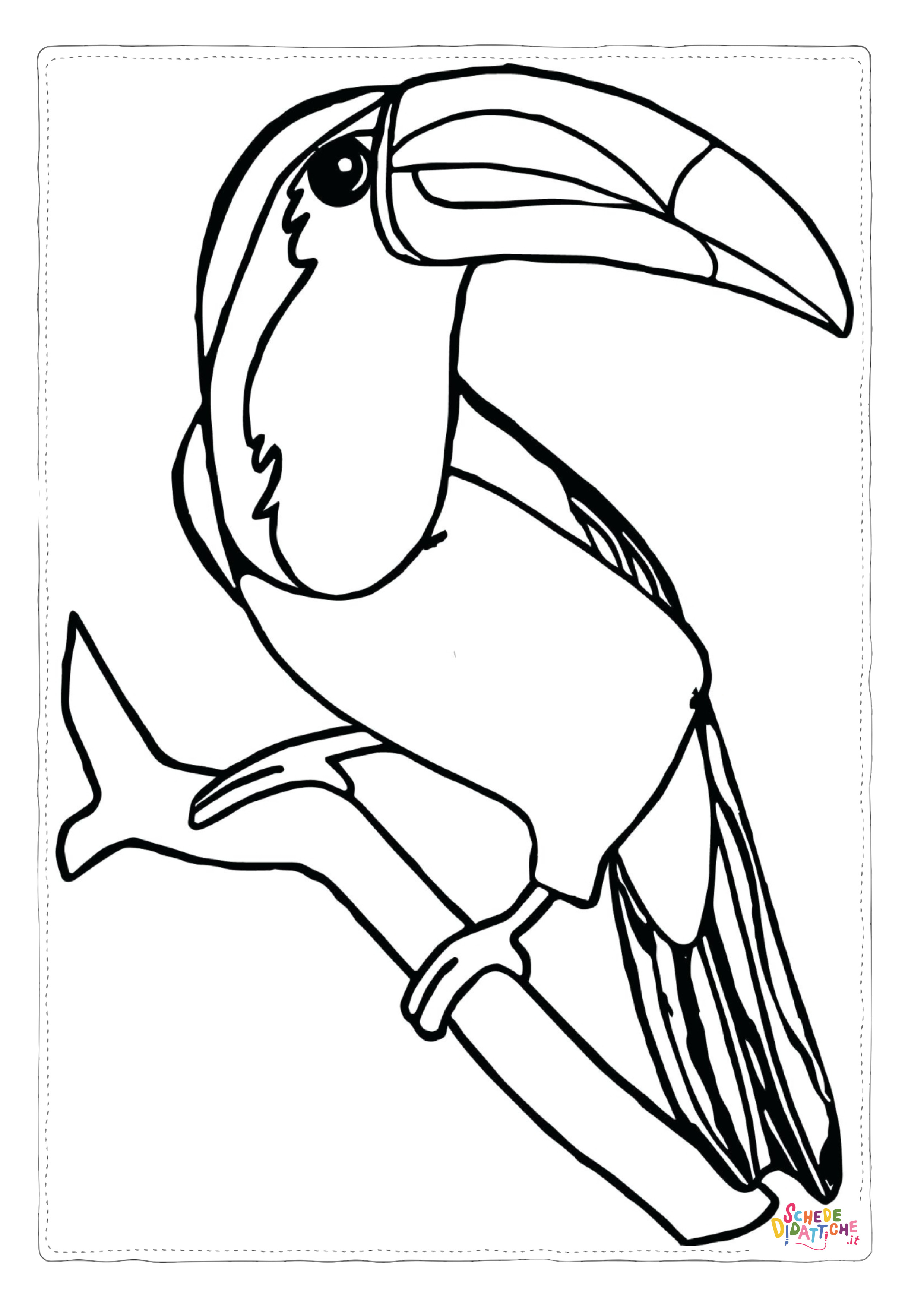 Disegno "Disegno di tucano da stampare e colorare 38" Disegno di tucano da stampare e colorare 38