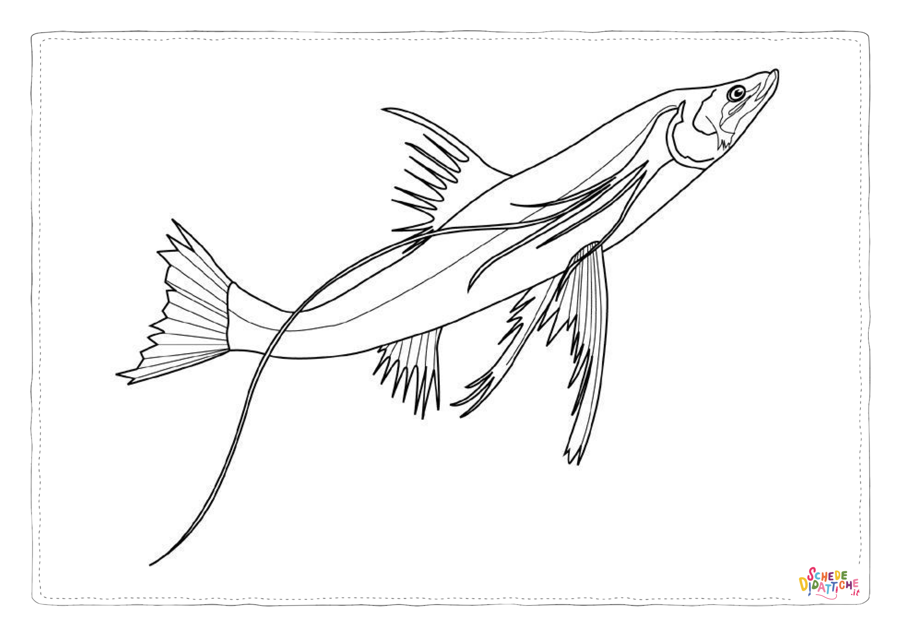 Disegno "Disegno di pesce da stampare e colorare 288" Disegno di pesce da stampare e colorare 288