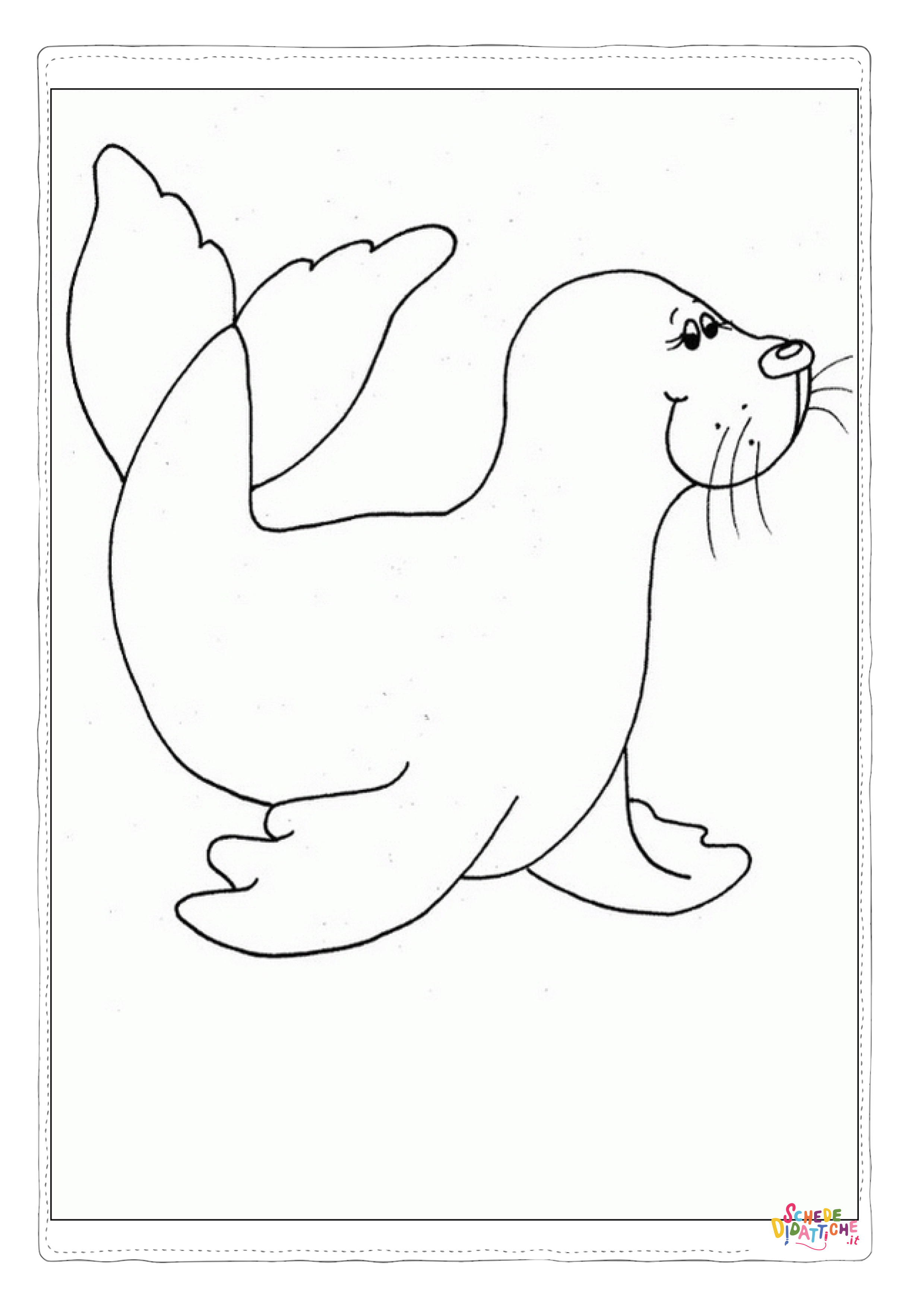 Disegno "Disegno di foca da stampare e colorare 32" Disegno di foca da stampare e colorare 32