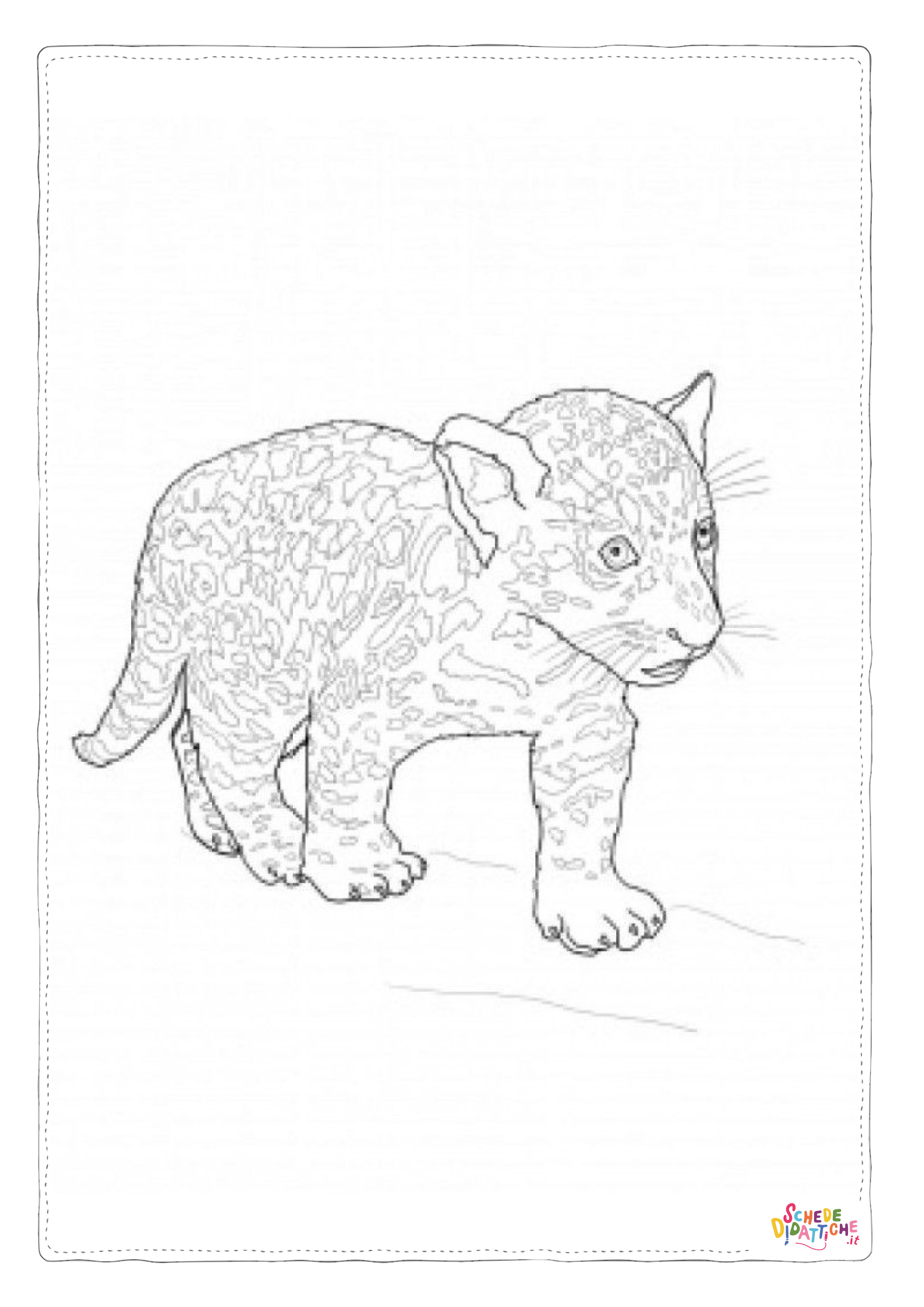 Disegno "Disegno di leopardo da stampare e colorare 52" Disegno di leopardo da stampare e colorare 52