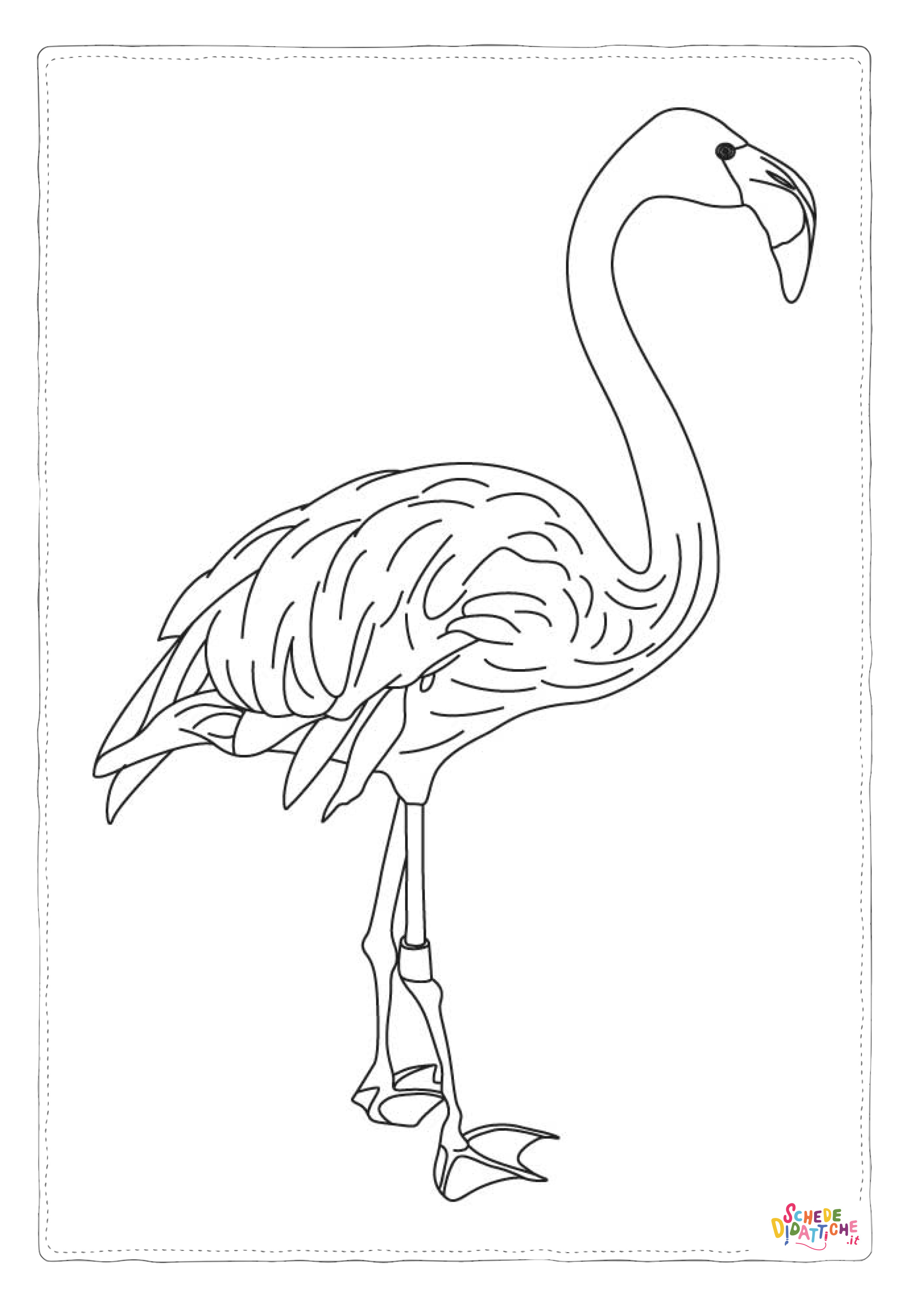 Disegno "Disegno di fenicottero da stampare e colorare 35" Disegno di fenicottero da stampare e colorare 35