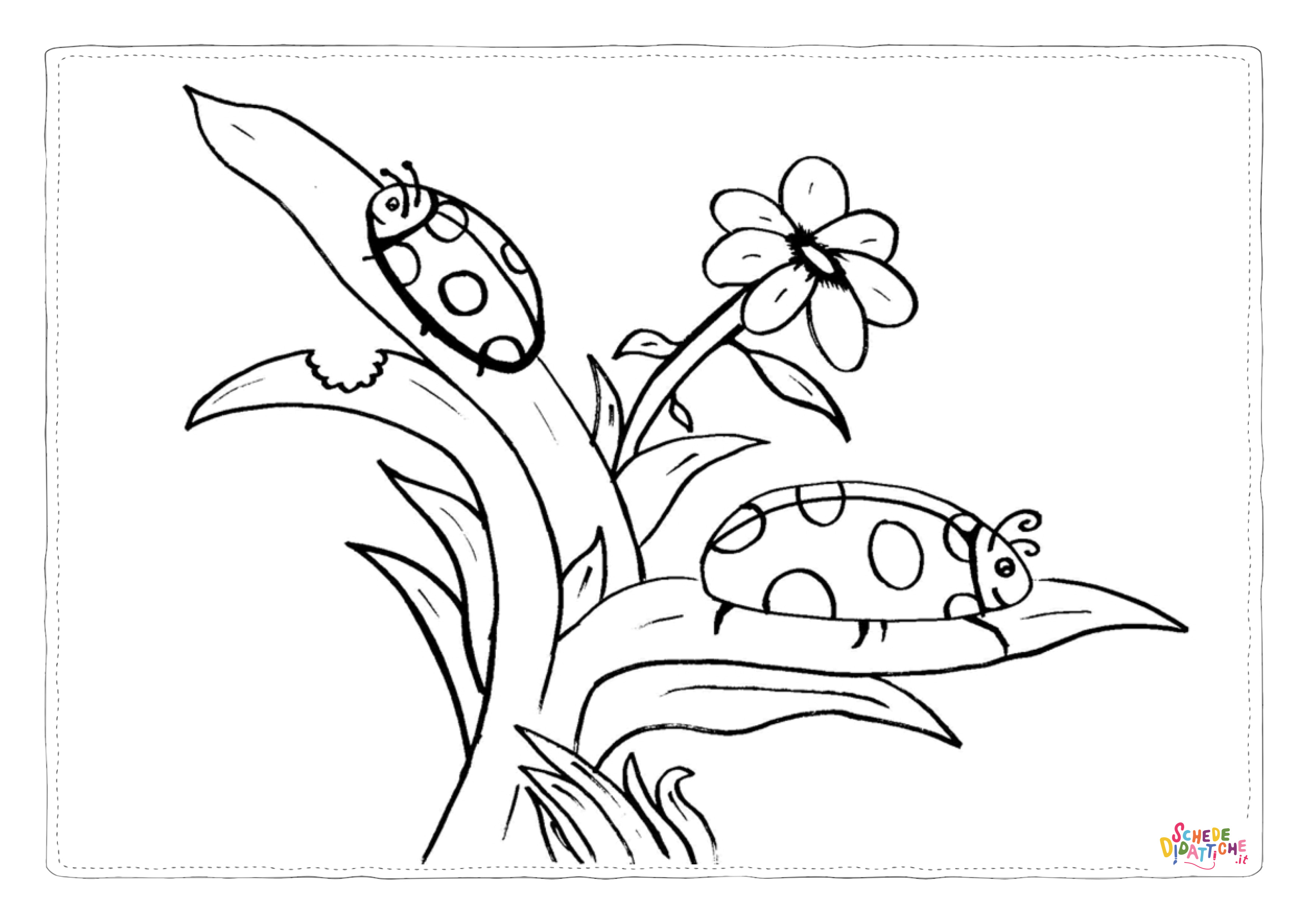 Disegno "Disegno di coccinella da stampare e colorare 25" Disegno di coccinella da stampare e colorare 25