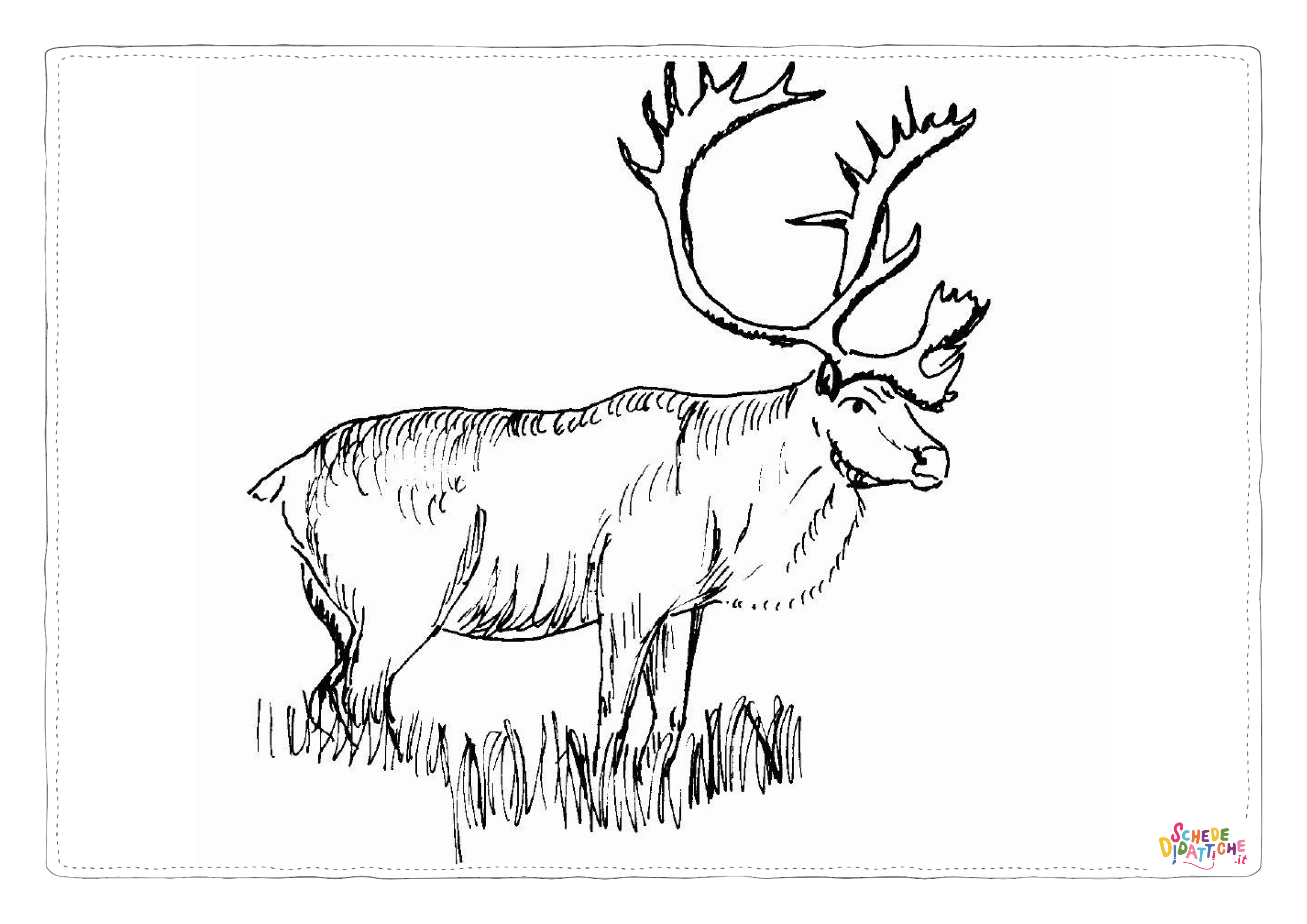 Disegno "Disegno di renna da stampare e colorare 10" Disegno di renna da stampare e colorare 10