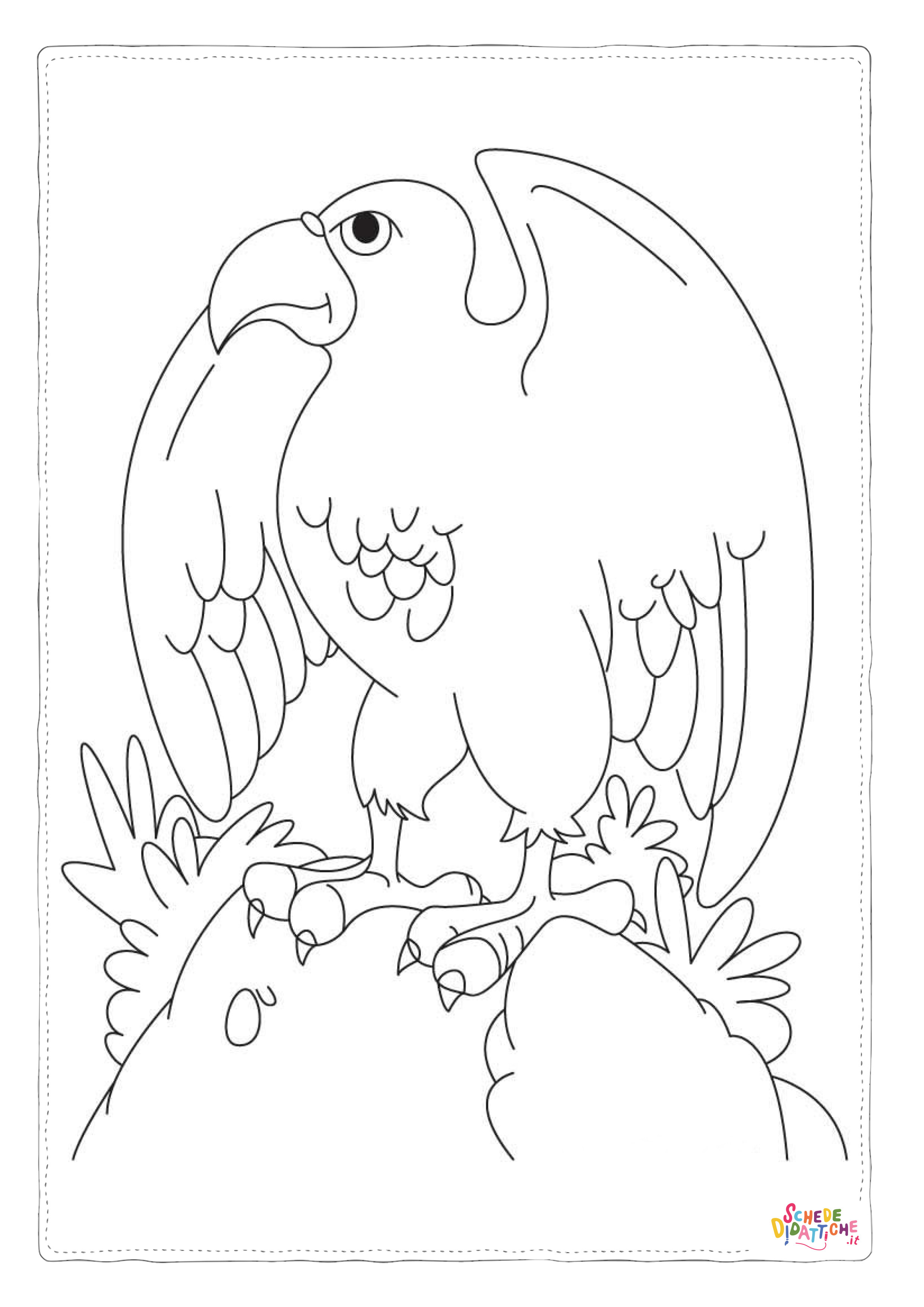 Disegno "Disegno di aquila da stampare e colorare 12" Disegno di aquila da stampare e colorare 12