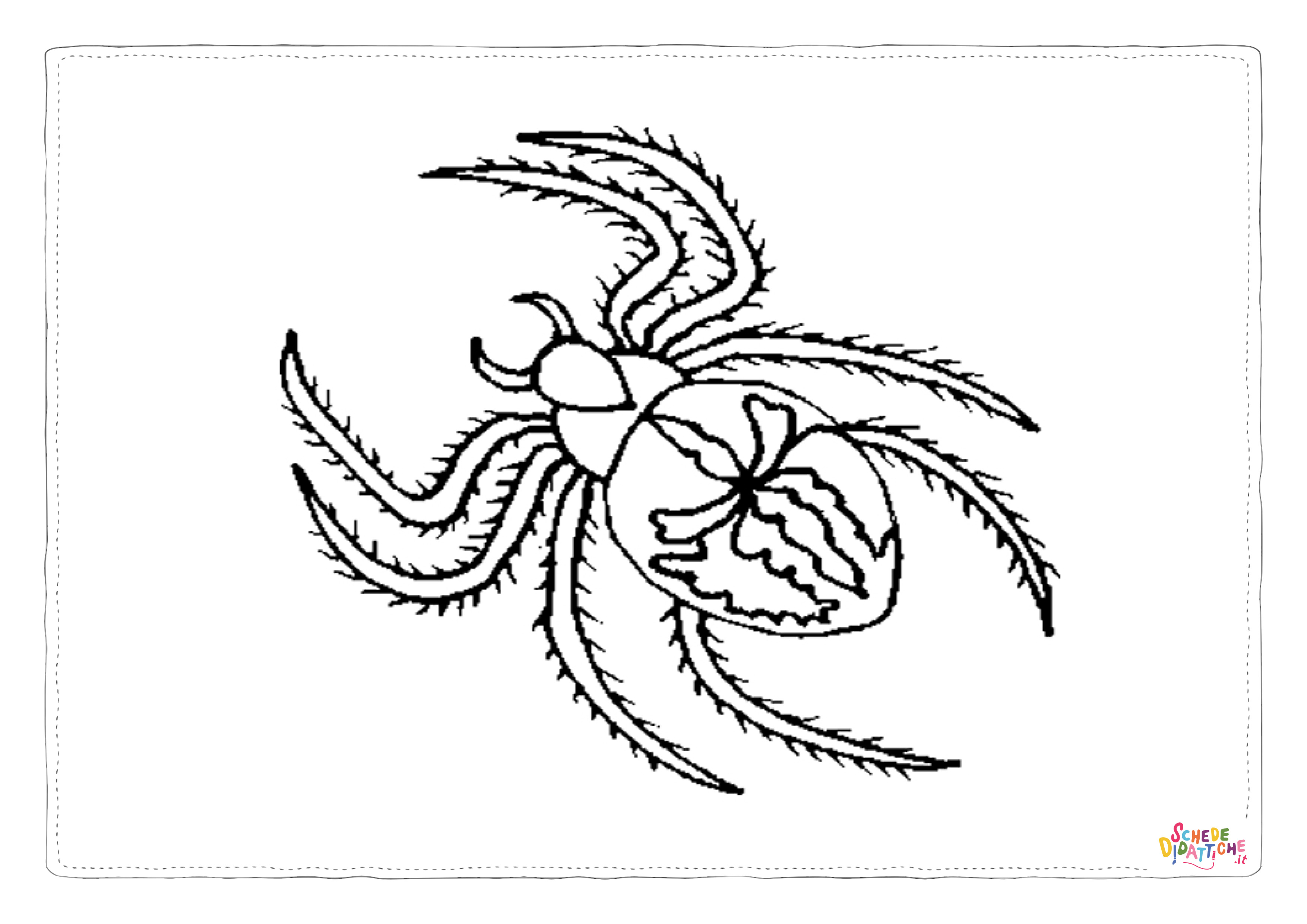 Disegno "Disegno di ragno da stampare e colorare 32" Disegno di ragno da stampare e colorare 32