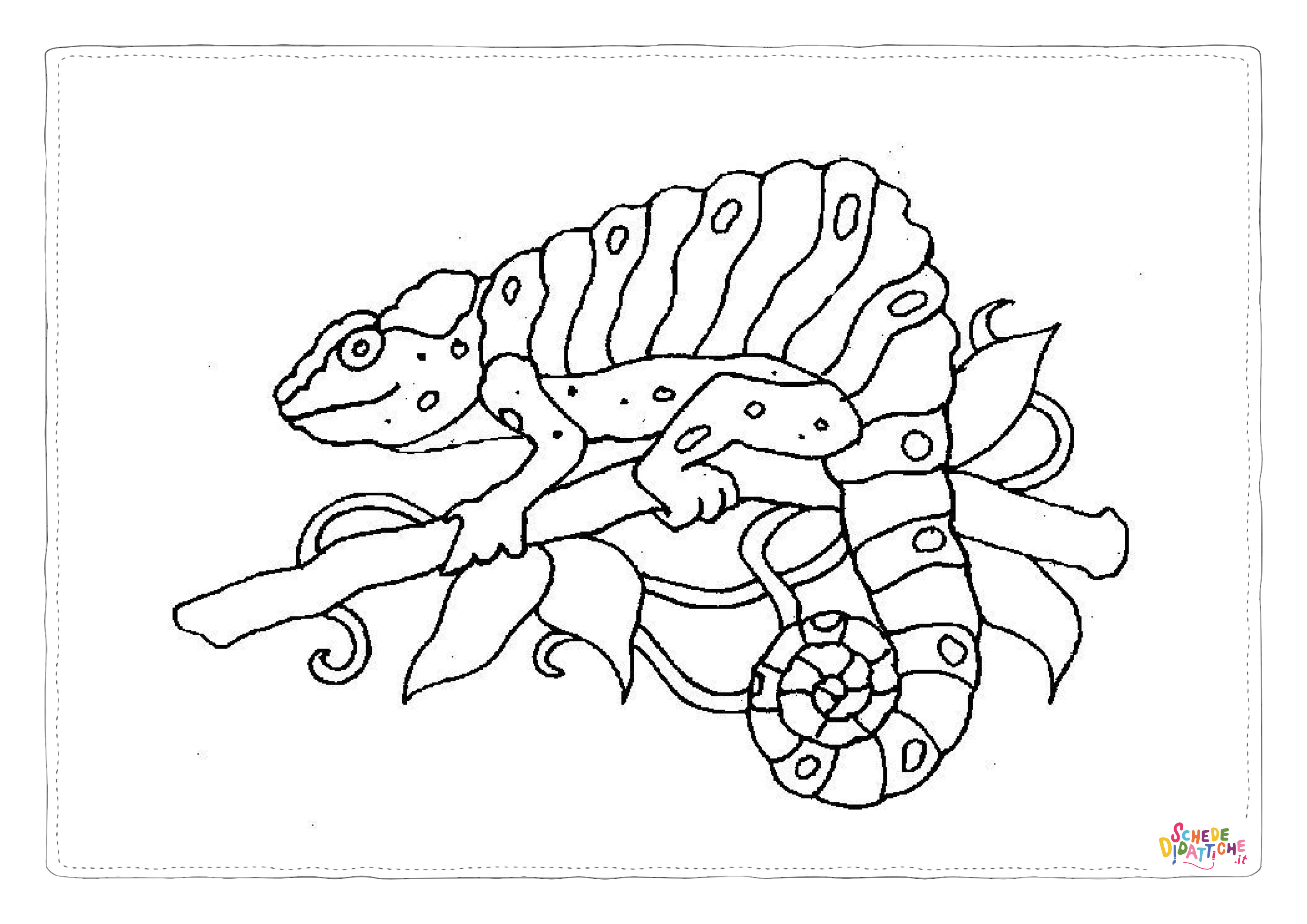Disegno "Disegno di camaleonte da stampare e colorare 16" Disegno di camaleonte da stampare e colorare 16