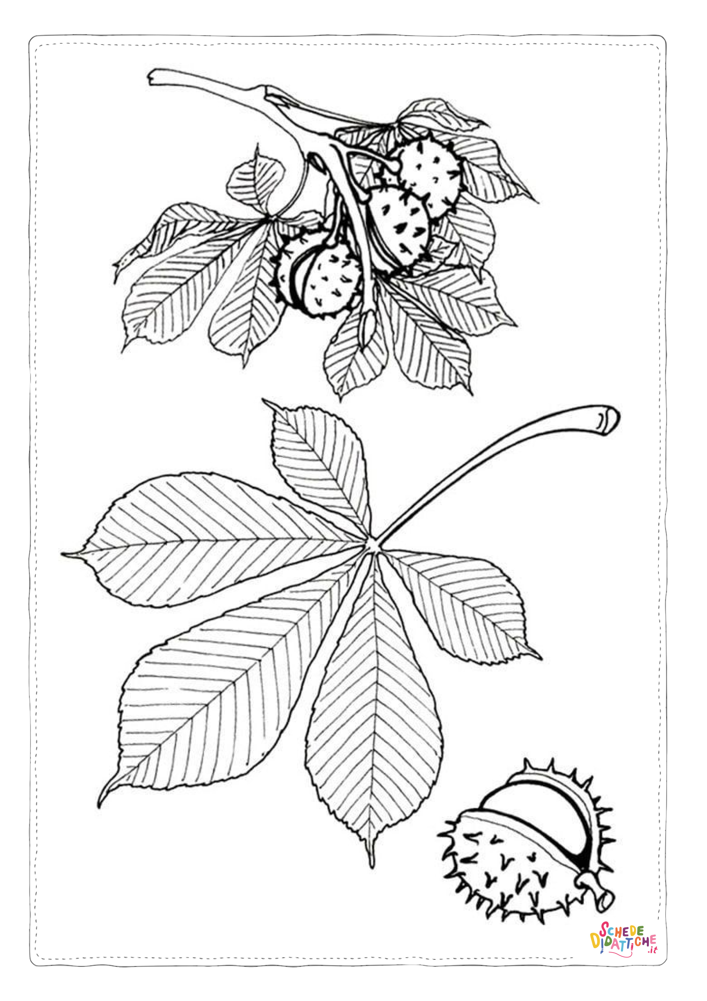 Disegno "Disegno di foglia da stampare e colorare 17" Disegno di foglia da stampare e colorare 17