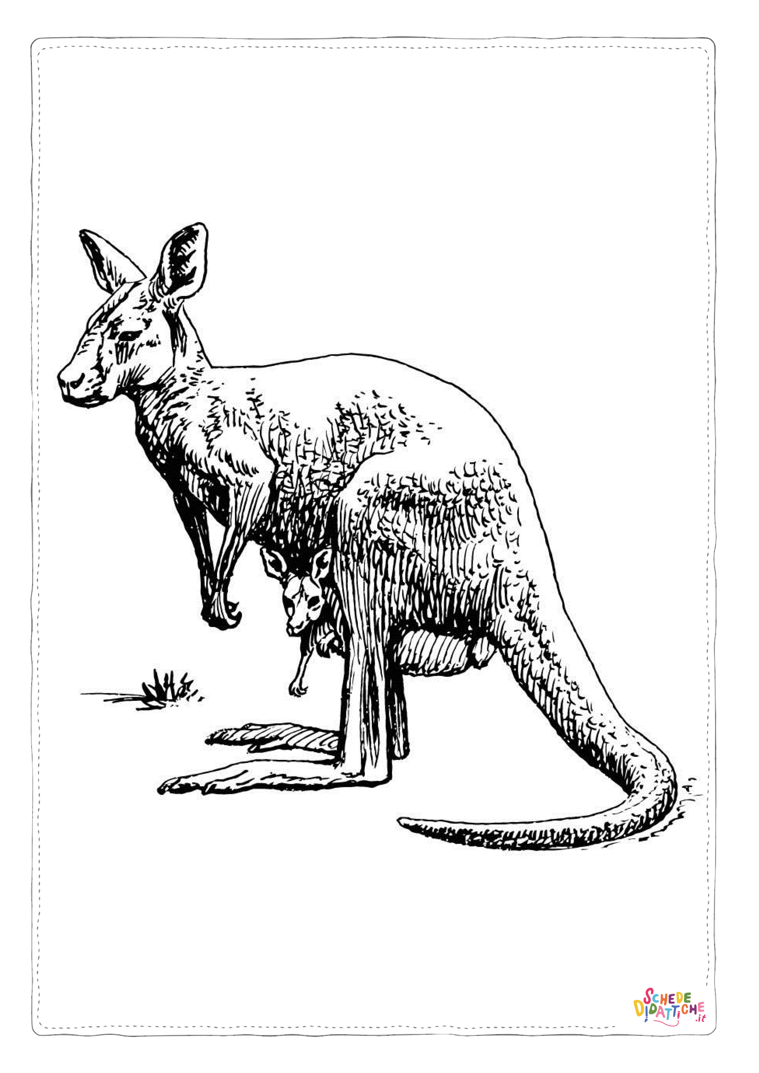 Disegno "Disegno di canguro da stampare e colorare 16" Disegno di canguro da stampare e colorare 16
