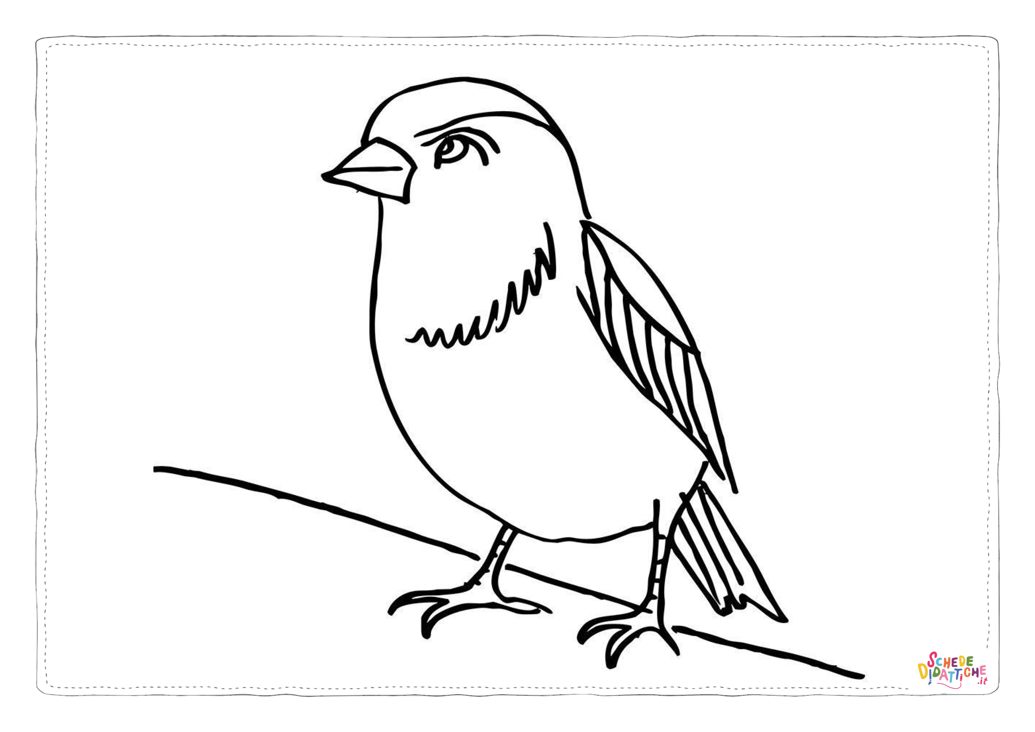Disegno "Disegno di passero da stampare e colorare 41" Disegno di passero da stampare e colorare 41