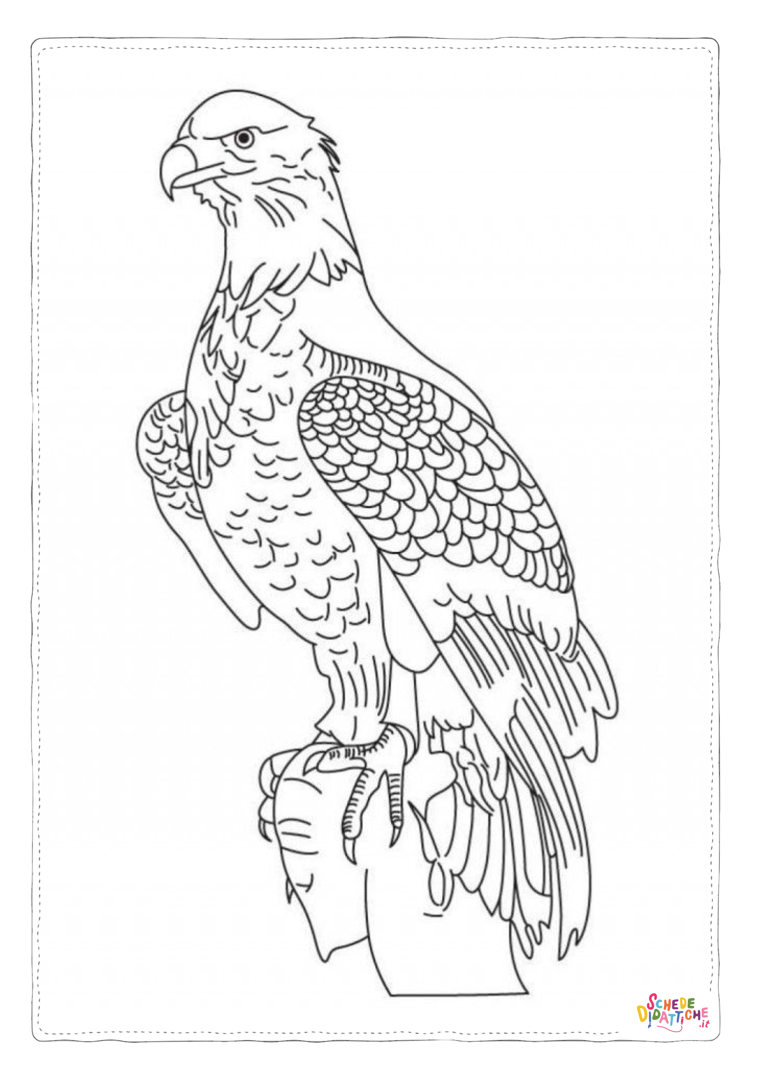 Disegno "Disegno di falco da stampare e colorare 10" Disegno di falco da stampare e colorare 10