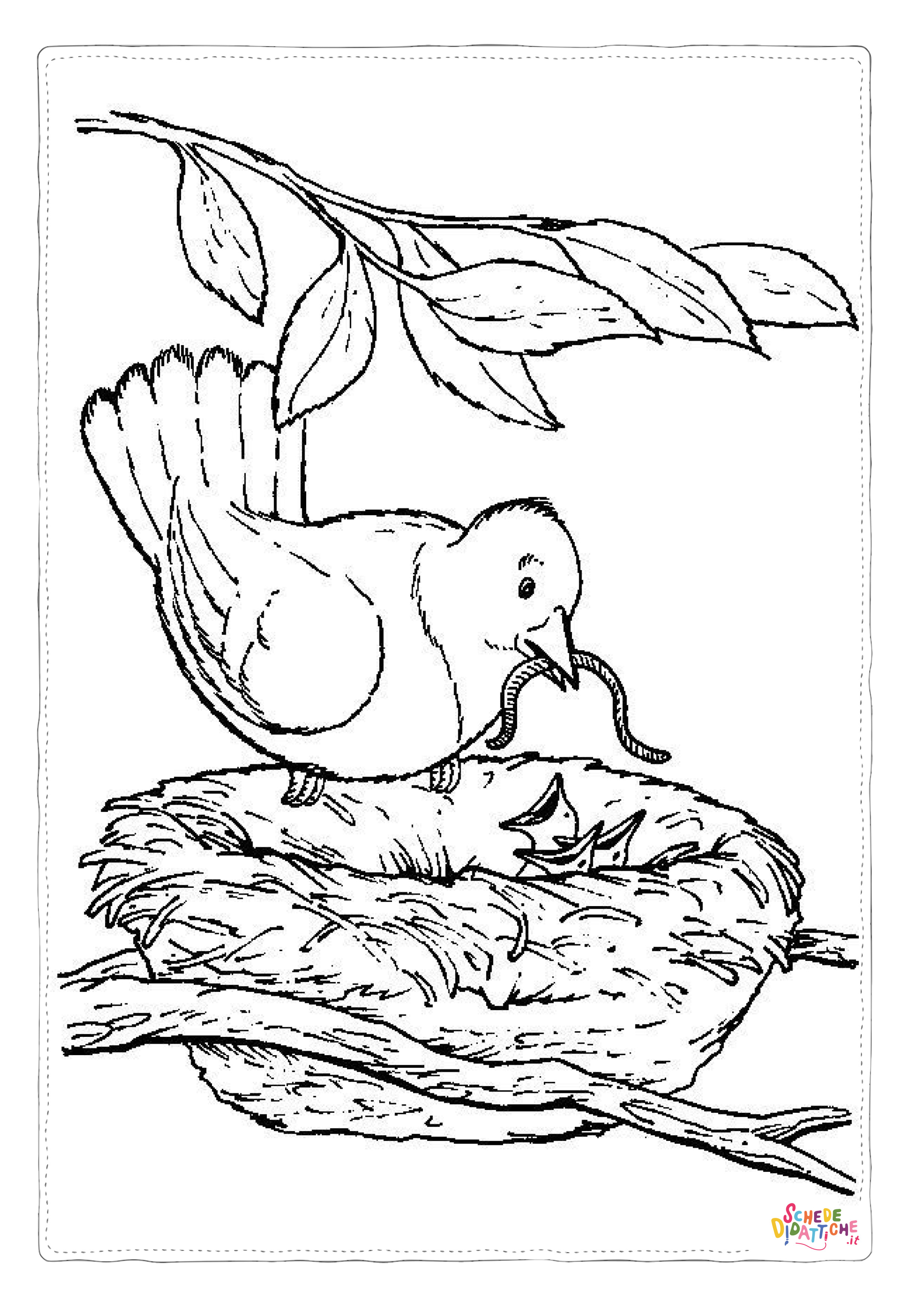 Disegno "Disegno di uccello da stampare e colorare 72" Disegno di uccello da stampare e colorare 72