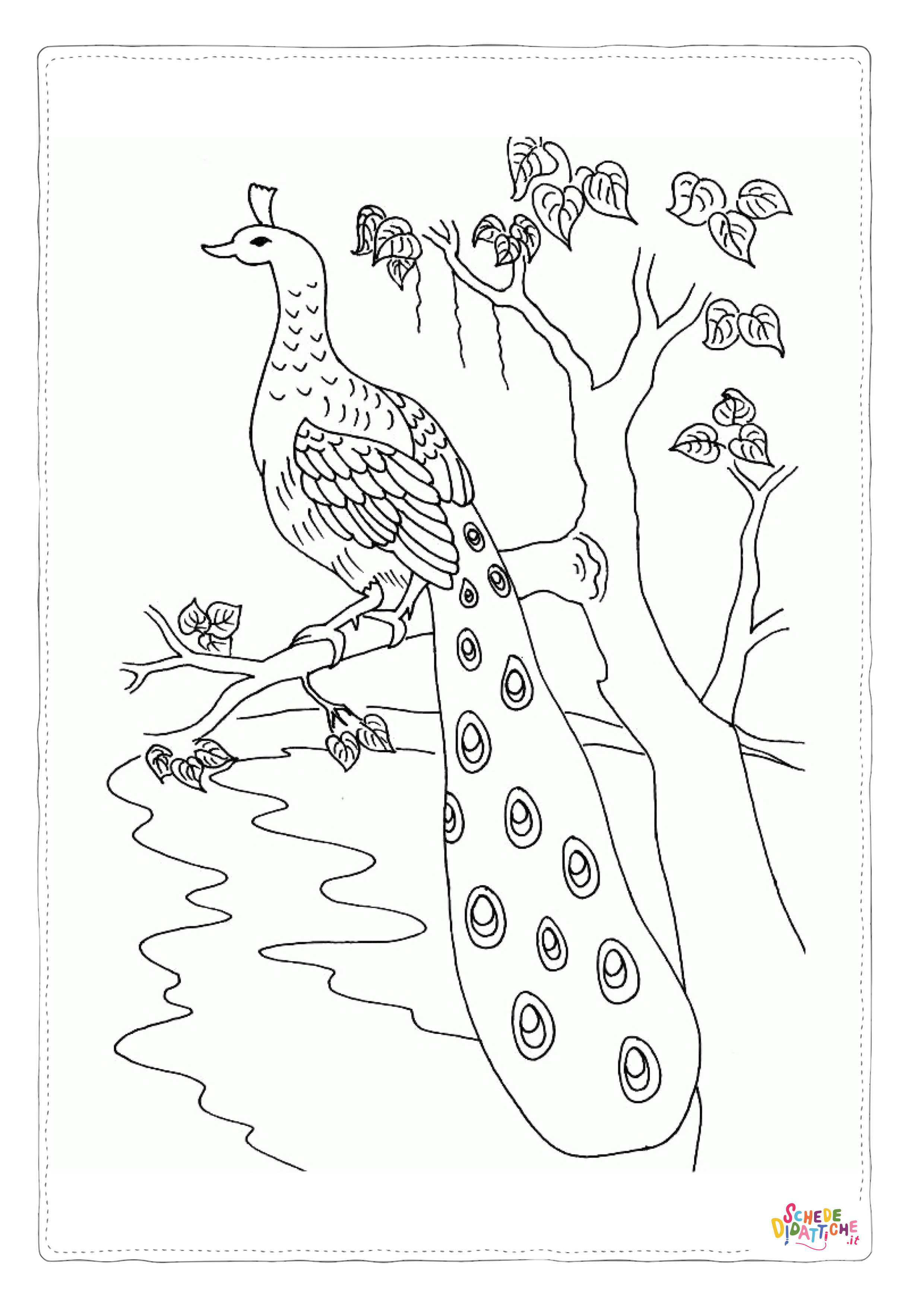Disegno di pavone da stampare e colorare 12