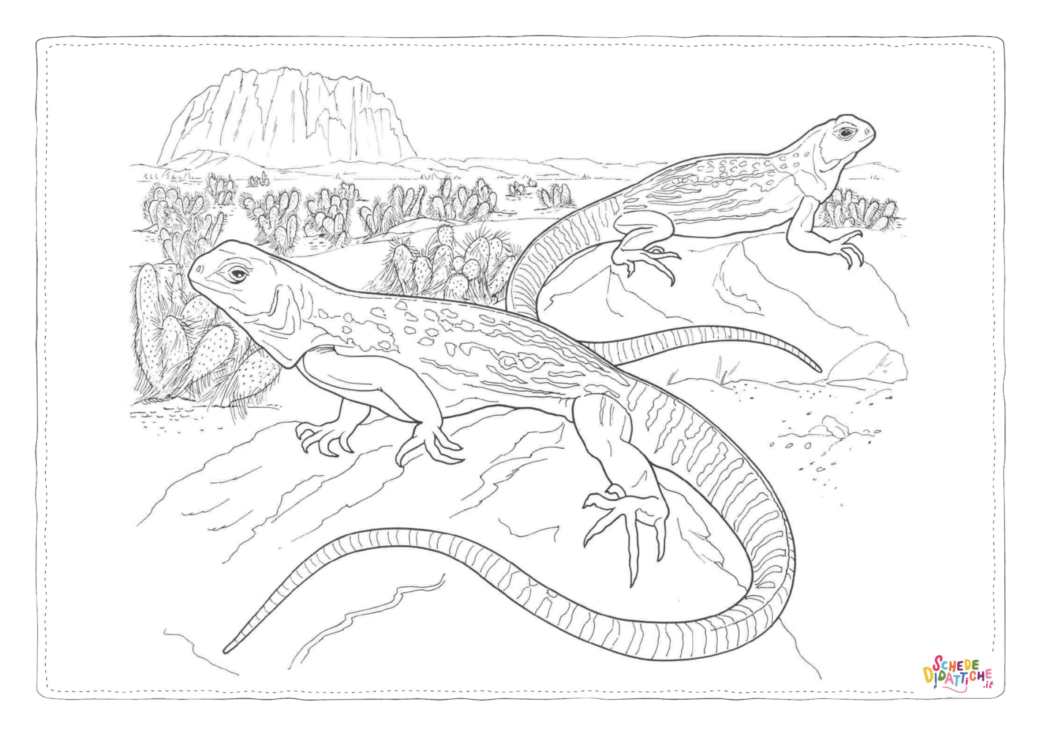 Disegno di iguana da stampare e colorare 7
