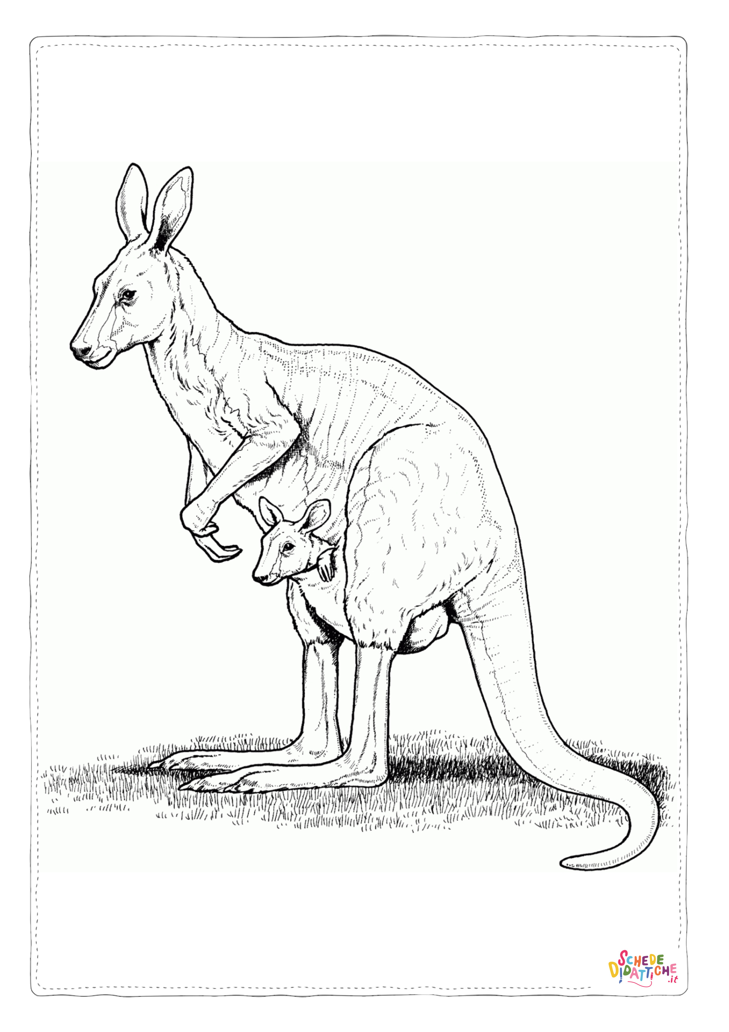 Disegno "Disegno di canguro da stampare e colorare 14" Disegno di canguro da stampare e colorare 14