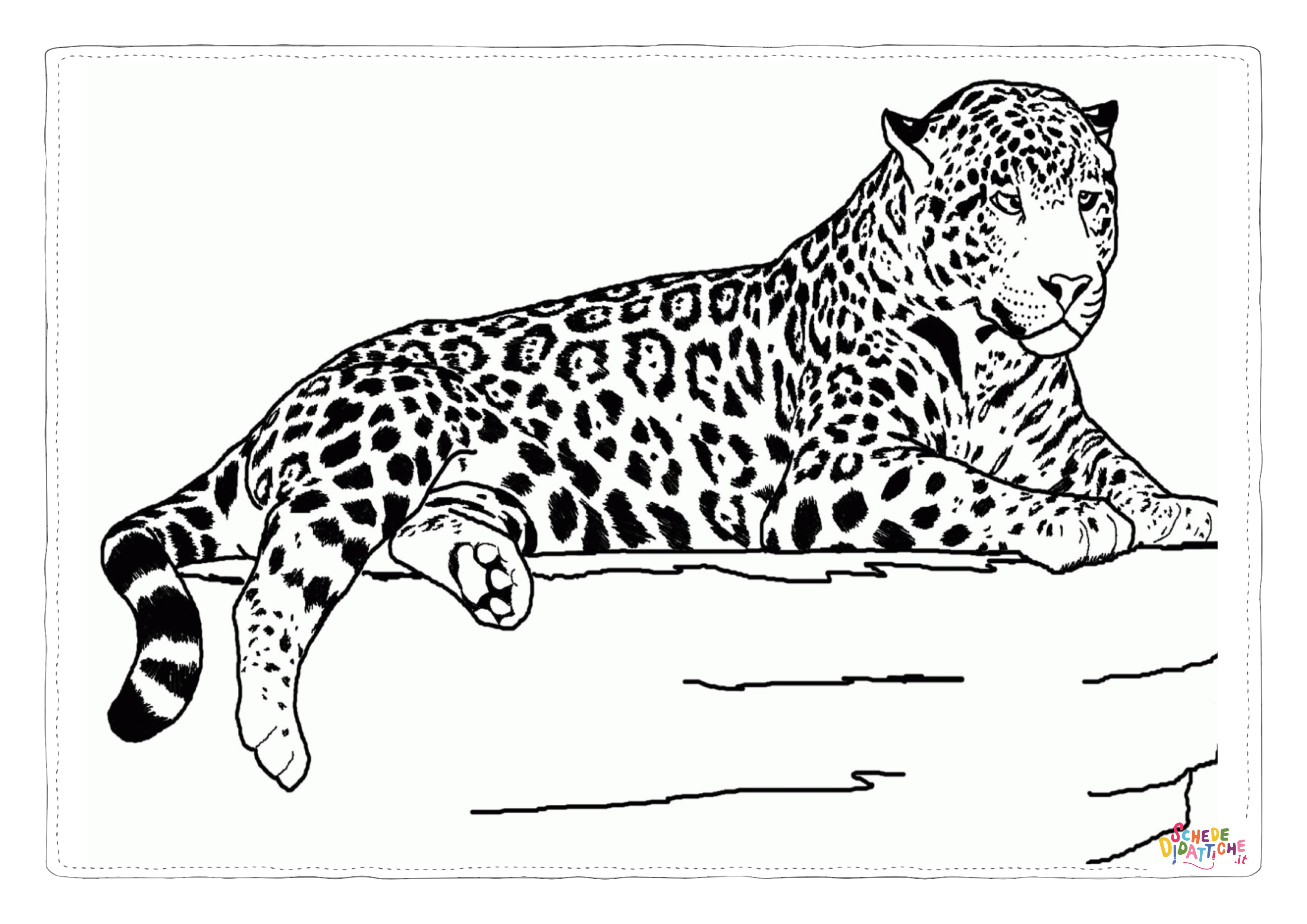 Disegno "Disegno di leopardo da stampare e colorare 18" Disegno di leopardo da stampare e colorare 18