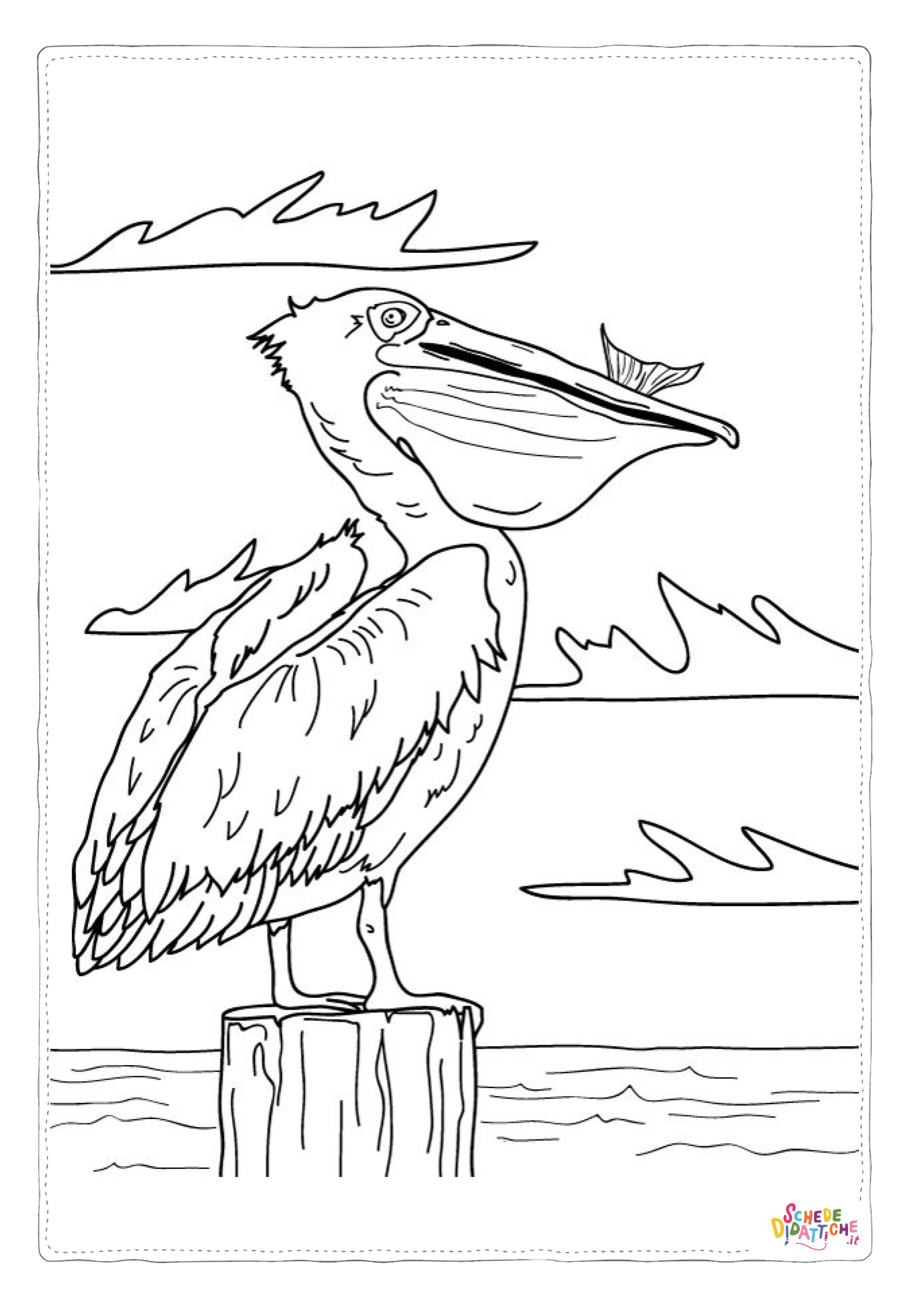 Disegno "Disegno di pellicano da stampare e colorare 4" Disegno di pellicano da stampare e colorare 4