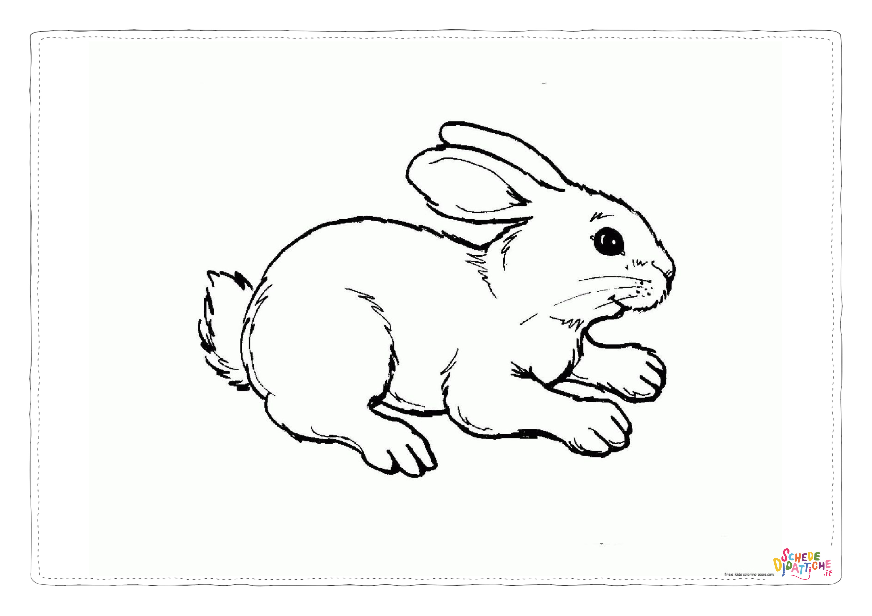 Disegno di coniglio da stampare e colorare 12