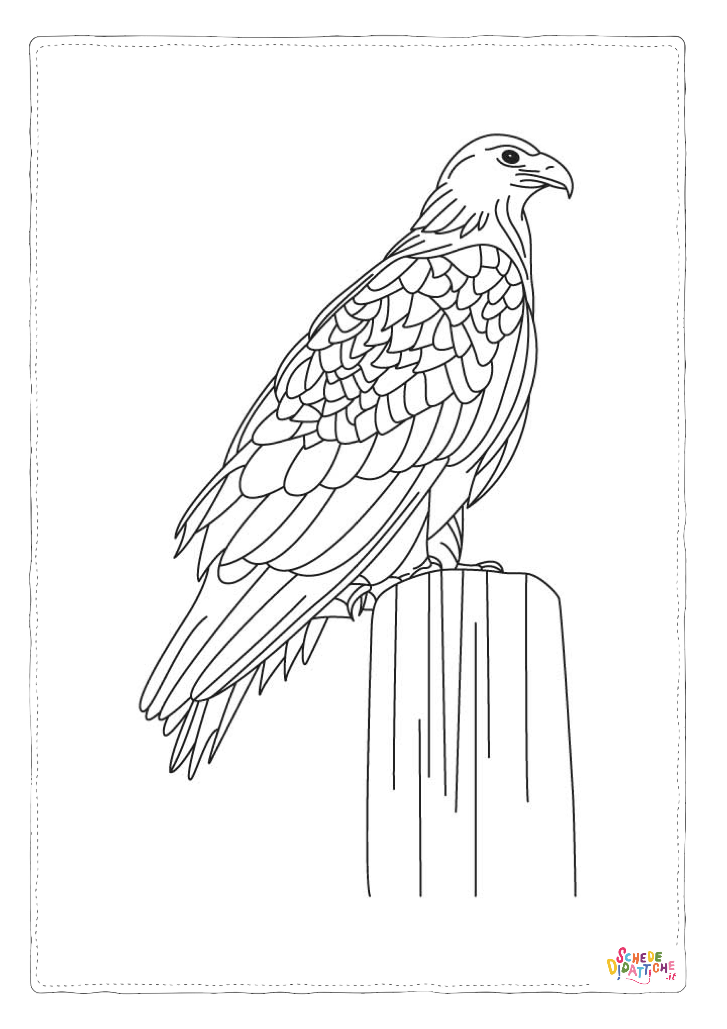Disegno "Disegno di falco da stampare e colorare 6" Disegno di falco da stampare e colorare 6