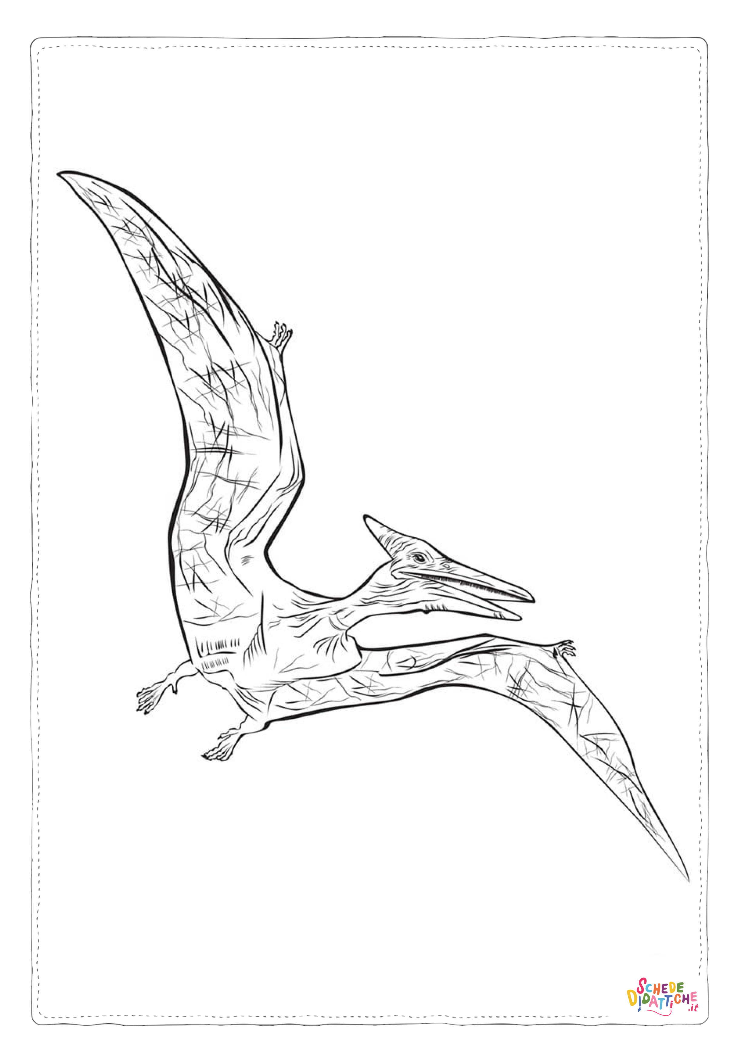Disegno di Pterodattilo da stampare e colorare 15
