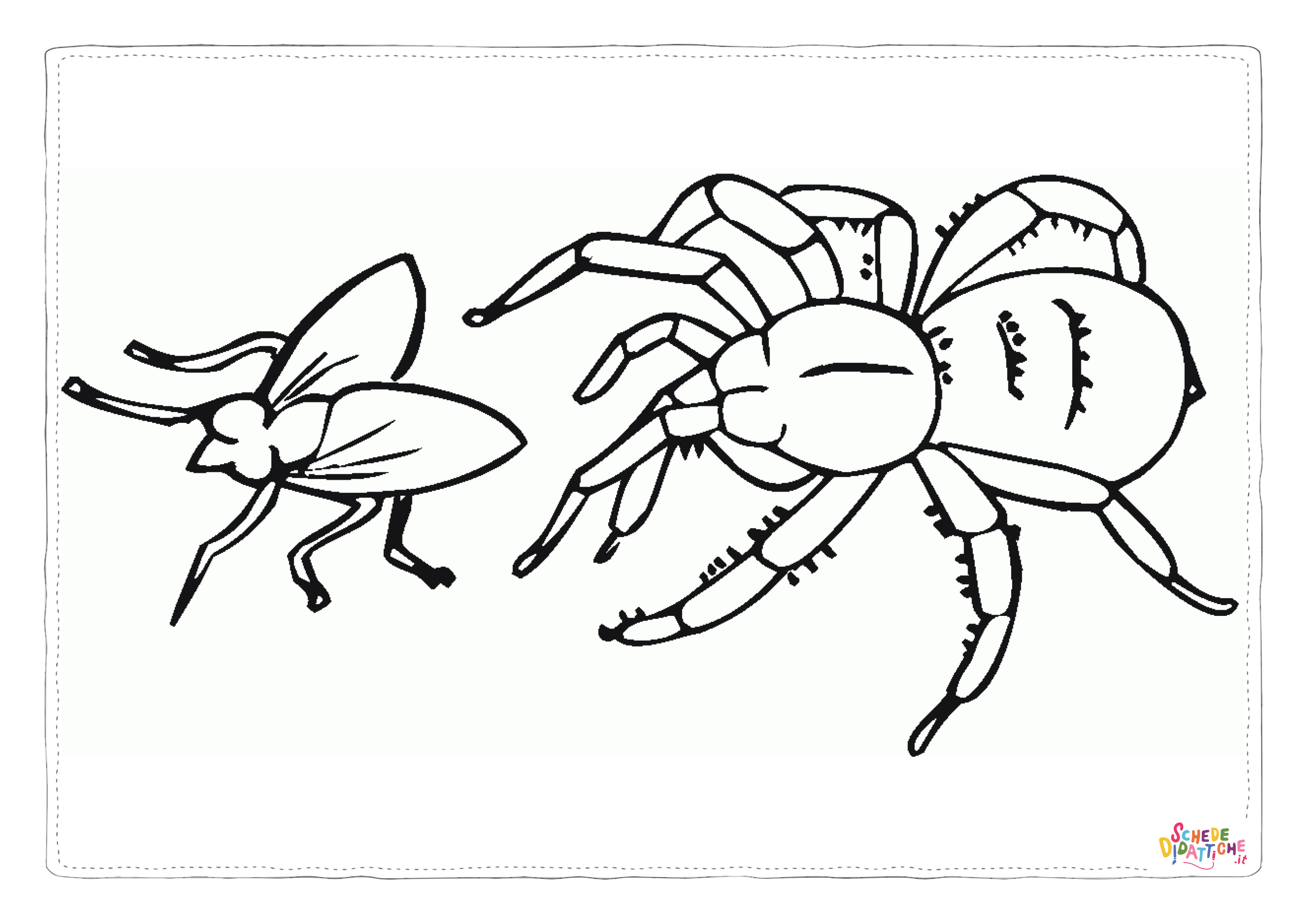 Disegno di ragno da stampare e colorare 51