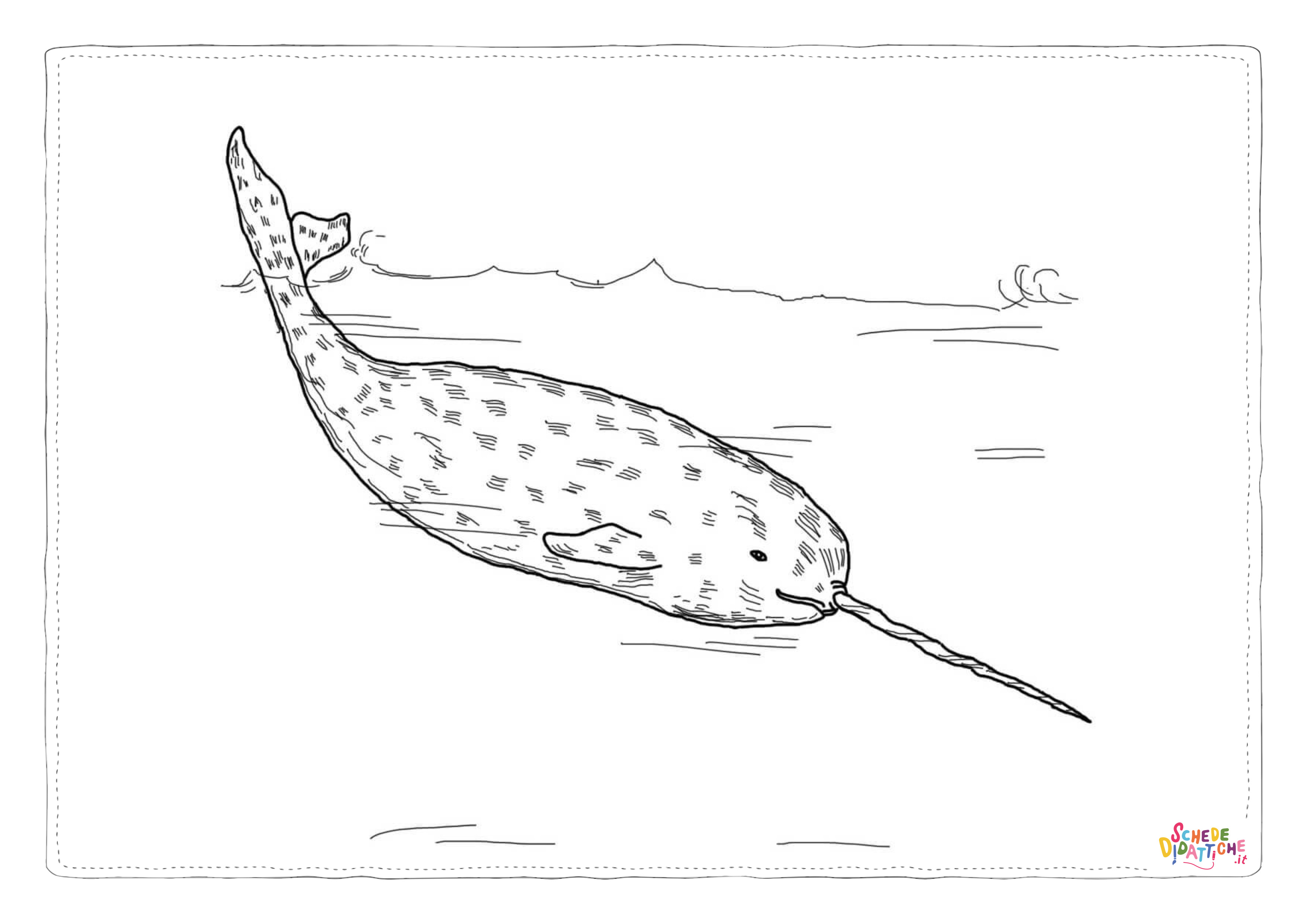 Disegno di narvalo da stampare e colorare 9