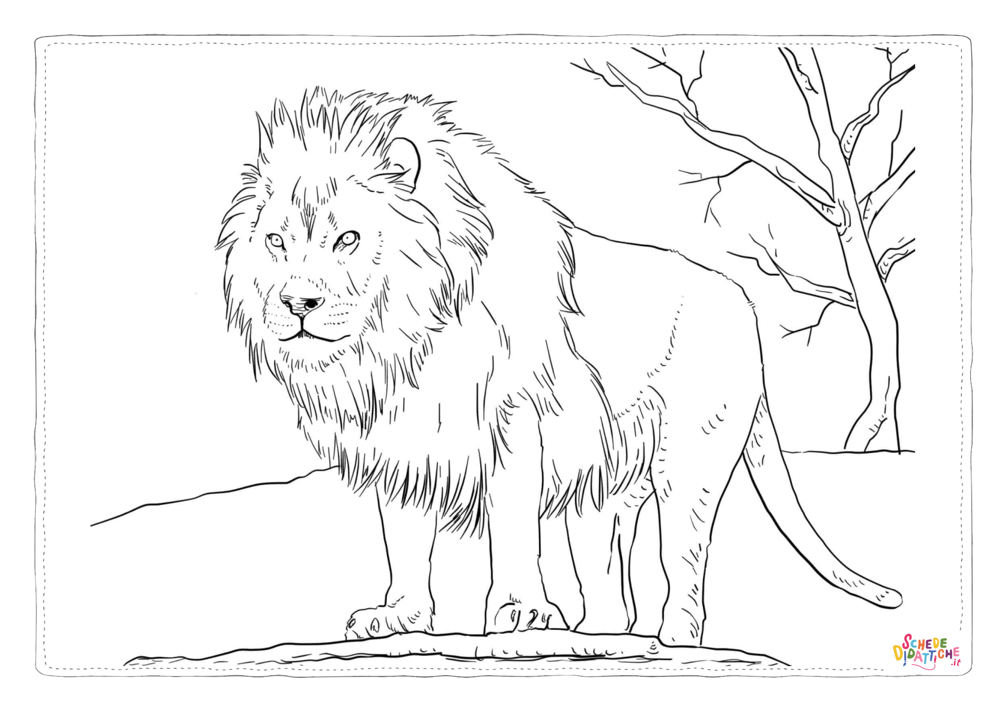 Disegno "Disegno di leone da stampare e colorare 79" Disegno di leone da stampare e colorare 79