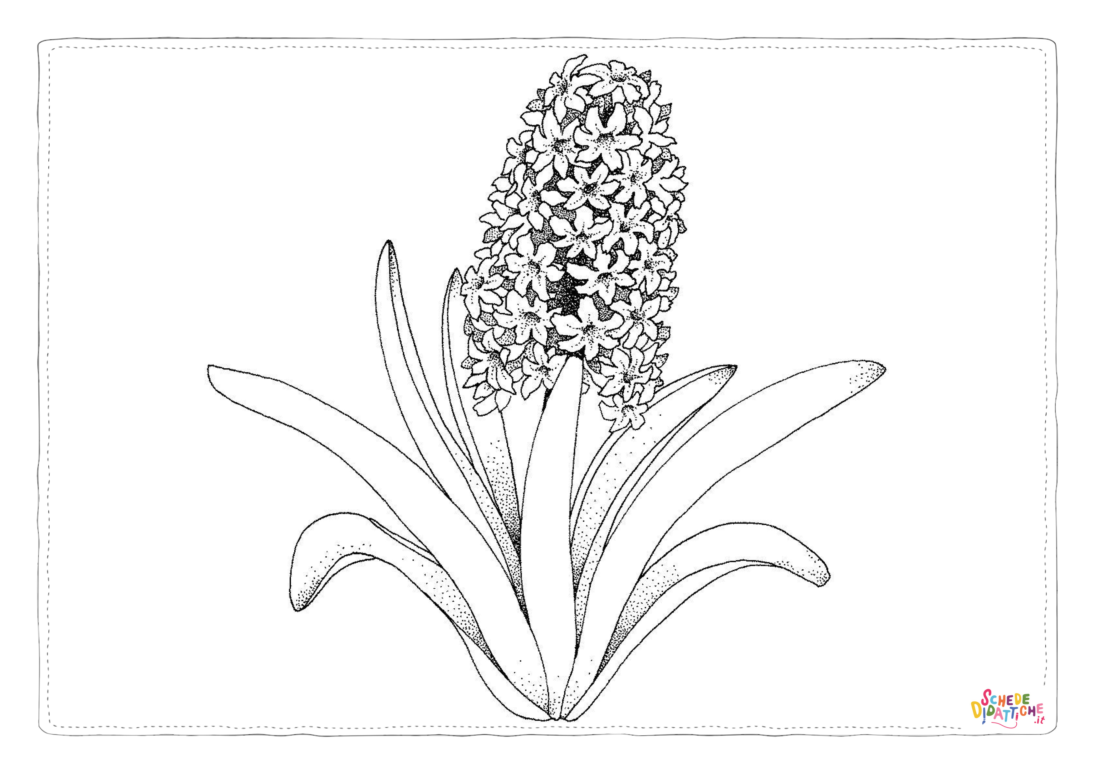 Disegno di pianta da stampare e colorare 3